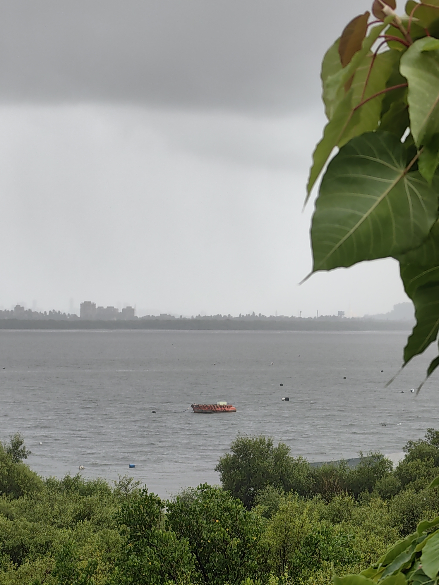 The image shows a cloudy day over the Vaitarna River in Vasai-Virar, India. In the foreground, lush green trees and foliage are visible, with large leaves of a plant obscuring part of the upper right corner. The middle ground features the Vaitarna River, characterized by its choppy, grey water. Several buoys or markers are scattered across the water. In the distance, a red and white boat is seen navigating the river. Beyond the river, a hazy skyline of buildings and trees suggests the presence of a city or town on the opposite bank. The overall atmosphere is overcast, with a muted color palette.