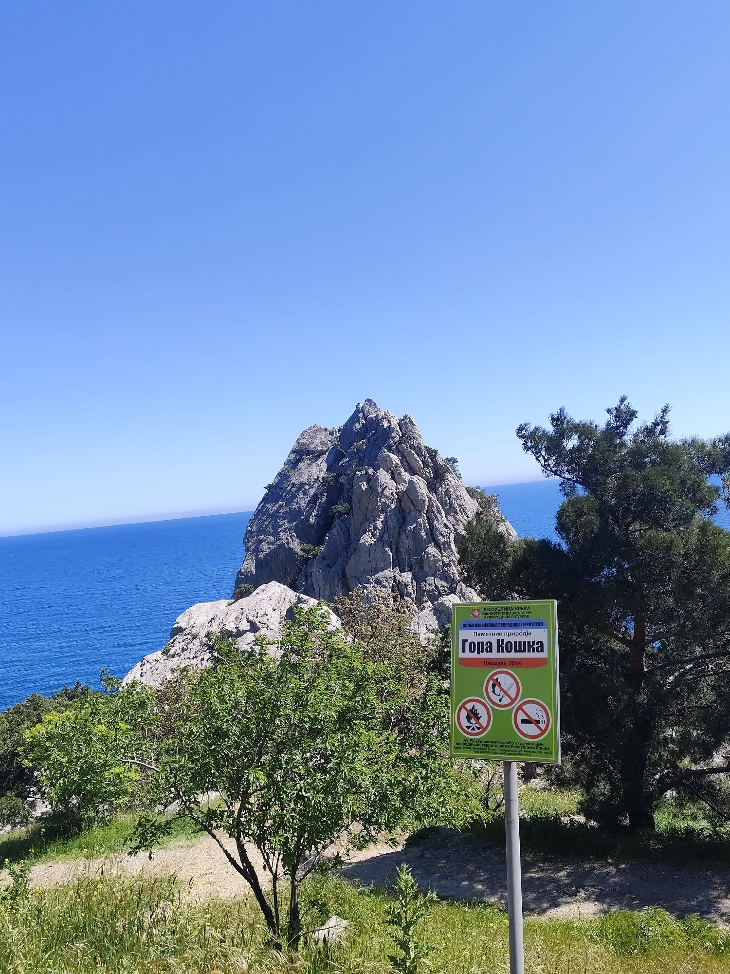 A clear day with a cloudless blue sky showcases a scenic landscape featuring the “Mount Koshka” sign. The image includes a large, rocky land mass adjacent to the ocean, lush green vegetation, and a signpost featuring the words "Гора Кошка," which translates to "Mount Koshka" in English, and icons prohibiting certain activities. The text on the sign indicates it is in the Republic of Crimea, Russia.