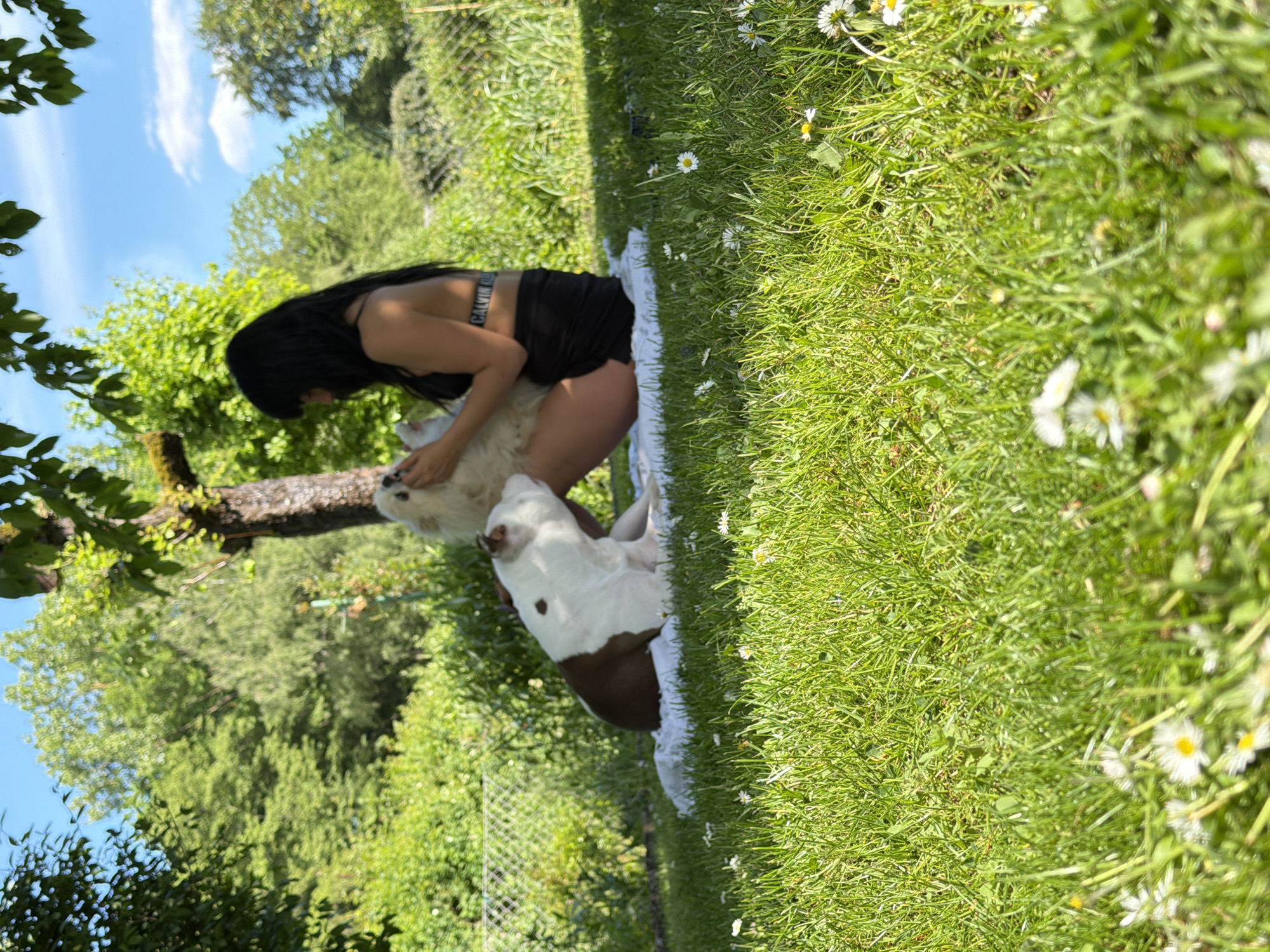 A woman with long dark hair kneels in a grassy area with two dogs. She is wearing a black top and shorts. One dog is white, and the other is white with brown markings. They are on a white blanket amidst grass with daisies. In the background are trees and a blue sky. The location is a grassy area, possibly a park, in Nuremberg, Germany.
