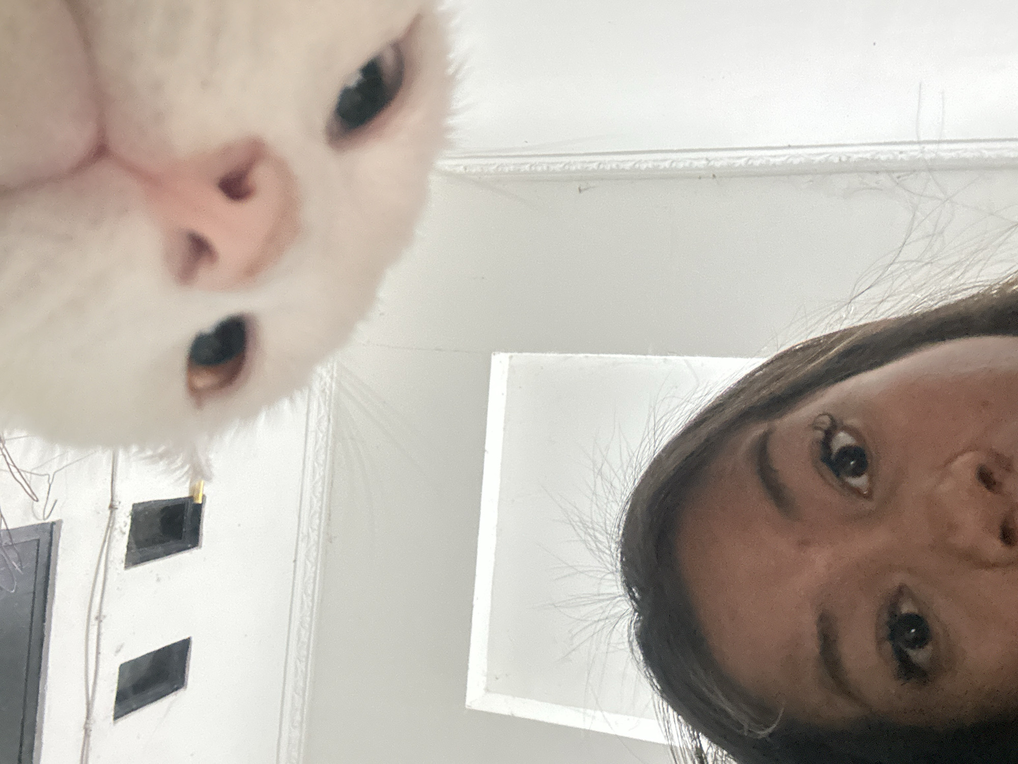 A low-angle selfie photograph shows a woman and a white cat. The cat's head is in the upper left, while the woman's face occupies the lower right of the frame. The interior background is a white room with a door and possibly vents. It is impossible to confirm that the location is in the city of North Jakarta, Indonesia.