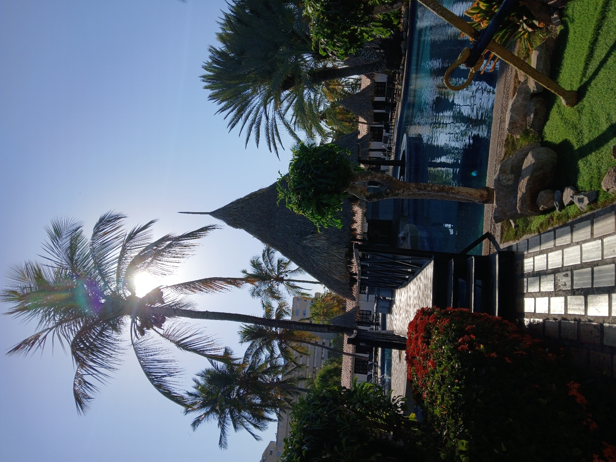 The image depicts a tropical resort scene in Porlamar, Venezuela. A thatched-roof structure is visible near a pool with clear water. Palm trees are prominent, with sunlight shining through their fronds. There are landscaped areas with green grass and red flowering bushes. A section of tiled walkway or patio is visible. The scene suggests a sunny, relaxing environment characteristic of a coastal resort.