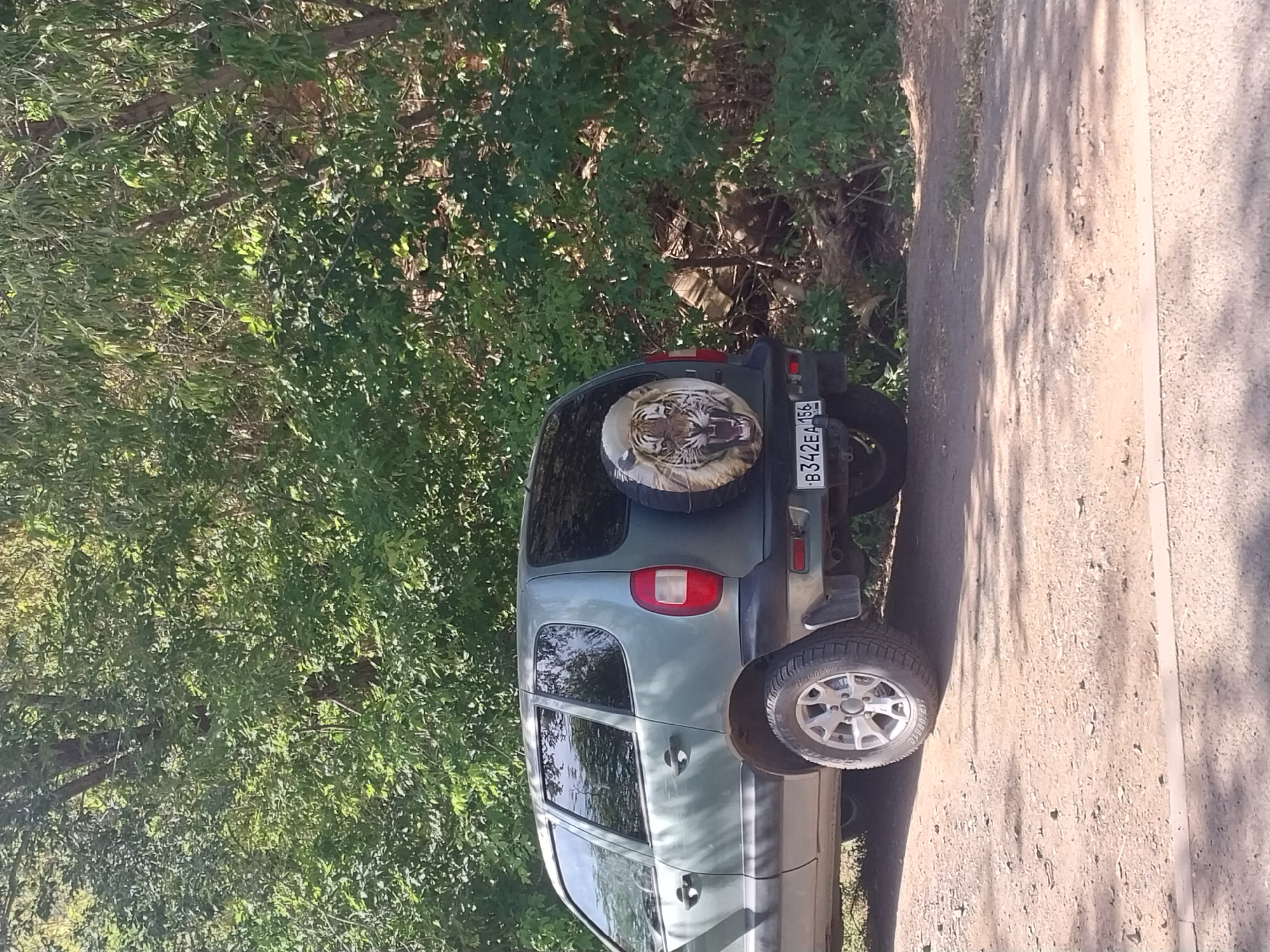 The image shows the rear quarter of a grey SUV parked on a dirt road in a natural setting. The SUV has a spare tire cover with a roaring tiger image on the back. The license plate is visible and reads "B342EA 156". The vehicle is surrounded by dense green foliage and trees, suggesting a rural or park-like environment. The sunlight casts shadows on the ground, indicating it is daytime. There are no people or other vehicles visible in the image. The scene is likely in Orenburg, Russia, given the format of the license plate.