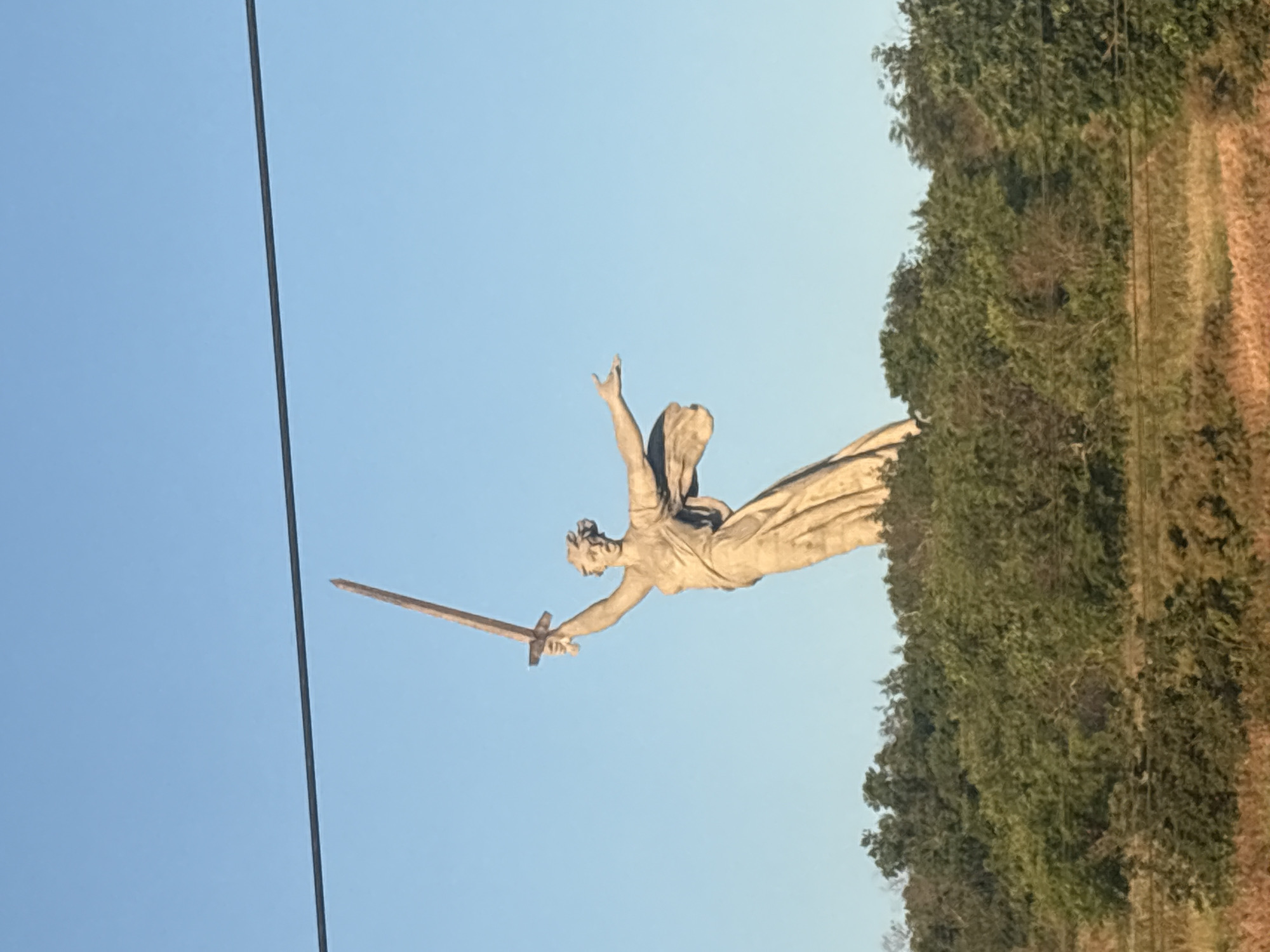 A statue of a woman holding a sword aloft stands against a clear blue sky. The statue is made of a light-colored material and is positioned on a hill surrounded by trees. A thin black wire runs horizontally across the upper portion of the image. The statue is known as The Motherland Calls, a monument located on Mamayev Kurgan in Volgograd, Russia, commemorating the Battle of Stalingrad. The statue depicts a woman in flowing robes, with her right arm raised high, holding a sword, and her left arm outstretched. The surrounding landscape appears to be a mixture of green trees and dry grass.