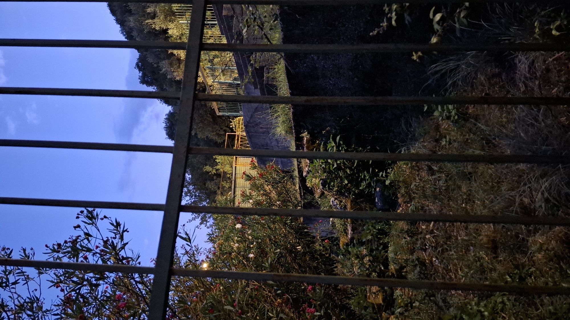 The image captures a view through a metal fence at dusk in Boreti, Montenegro. The fence, composed of vertical bars, partially obstructs the scene. Beyond the fence, lush vegetation, including flowering bushes with pink and white blooms, thrives. Further back, a concrete structure with stairs is visible, leading upwards towards a yellow structure with a zigzag pattern and a green railing. Trees dot the hillside behind the stairs, and the sky above is a deep blue, transitioning from twilight to night, with a few wispy clouds. The overall impression is of an overgrown, slightly dilapidated outdoor area, possibly a park or garden, at the edge of a residential or public space.