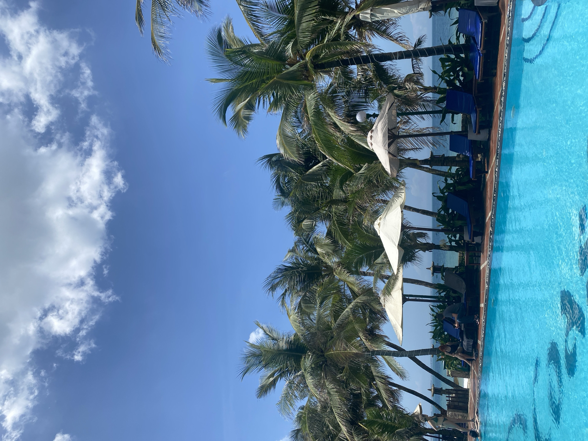 This image captures a daytime scene at a tropical resort in Phu Thuy Ward, Vietnam. The foreground features a light blue swimming pool with visible patterned tilework on its bottom, and steps entering the water on the right. Immediately behind the pool, a reddish-brown tiled deck holds several dark blue lounge chairs. At least three large, light-colored sun umbrellas provide shade over these chairs. Beyond the deck, numerous tall palm trees with dense green fronds stretch towards the clear blue sky, which contains scattered white cumulus clouds. The ocean is visible in the background, beyond the palm trees and a dark wooden fence or railing, with a few faint boats on the horizon.
Several individuals are present in the scene. On the left side of the pool, a person in a light-colored top stands at the pool's edge, partially visible. Another person is partially submerged in the pool nearby, facing away from the viewer. On the tiled deck, under one of the umbrellas, a person with reddish-brown hair wearing dark clothing is seated on a lounge chair. Next to them, a second person wearing a dark t-shirt and light shorts is also seated on a lounge chair, engaged with what appears to be a mobile device. Decorative stone lamps are positioned along the wooden barrier separating the deck from the ocean.