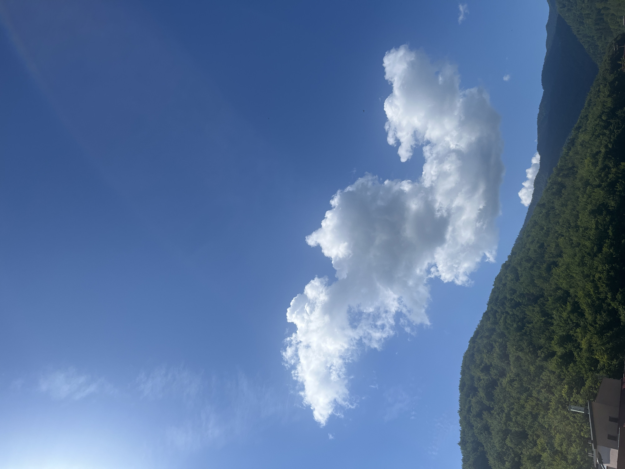 The image depicts a bright, sunny day with a clear blue sky dominating the upper portion. There are several white, fluffy clouds scattered across the sky. In the foreground, a lush green, tree-covered mountain slopes upwards. The lower left corner shows the top of a building with a reddish-brown roof and a light-colored facade, partially obscured by the mountain's foliage. The scene appears to be set in a mountainous region, likely on the outskirts of Brasov, Romania, given the presence of forested hills characteristic of the Carpathian Mountains surrounding the city. There are no people or animals visible in the frame. The overall impression is one of natural beauty and tranquility.