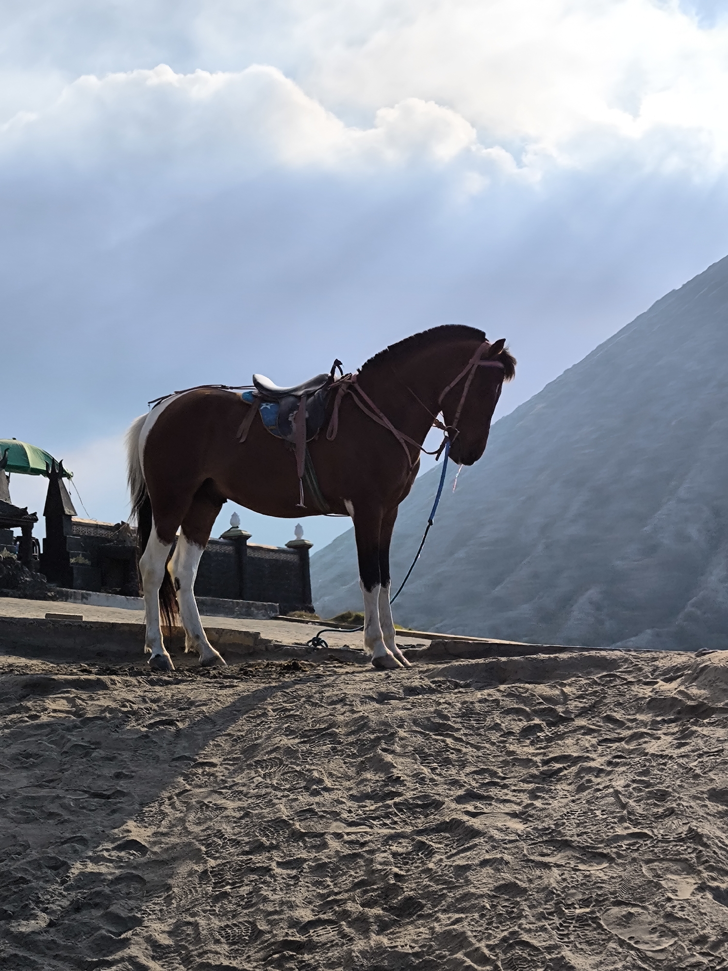 A brown and white horse stands patiently on a sandy path, its head lowered slightly. The horse is saddled with a worn leather saddle and bridle. Behind the horse, a stone wall with decorative pillars runs along the edge of the path, and to the left, a green umbrella shades a small structure.
The scene appears to be an outdoor location, possibly a tourist spot, given the presence of the horse and the structures. The ground is covered in sand, with visible footprints and tire tracks, suggesting it's a well-trafficked area. In the background, a large, misty mountain looms, its slopes obscured by a soft, hazy light. The sky above is a pale blue, dotted with fluffy white clouds, indicating it is likely daytime, possibly morning or late afternoon due to the gentle lighting. The overall mood is serene and somewhat tranquil, with the horse appearing calm and waiting.