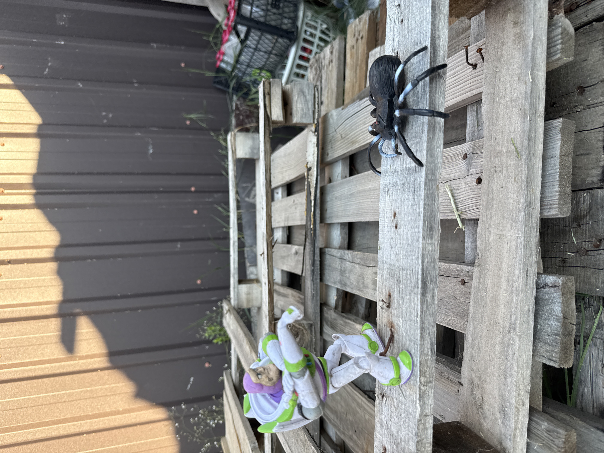 An outdoor scene depicts a toy Buzz Lightyear action figure standing on wooden pallets, facing a plastic toy spider. The background is a dark corrugated metal wall, with a shadow cast on it that resembles a dinosaur or a similar creature. The environment appears to be an outdoor storage area or a construction site, with additional wooden pallets and a black plastic crate filled with red items in the background. The lighting suggests it is daytime, possibly late afternoon, given the long shadow. The location is identified as Tbilisi, Georgia.