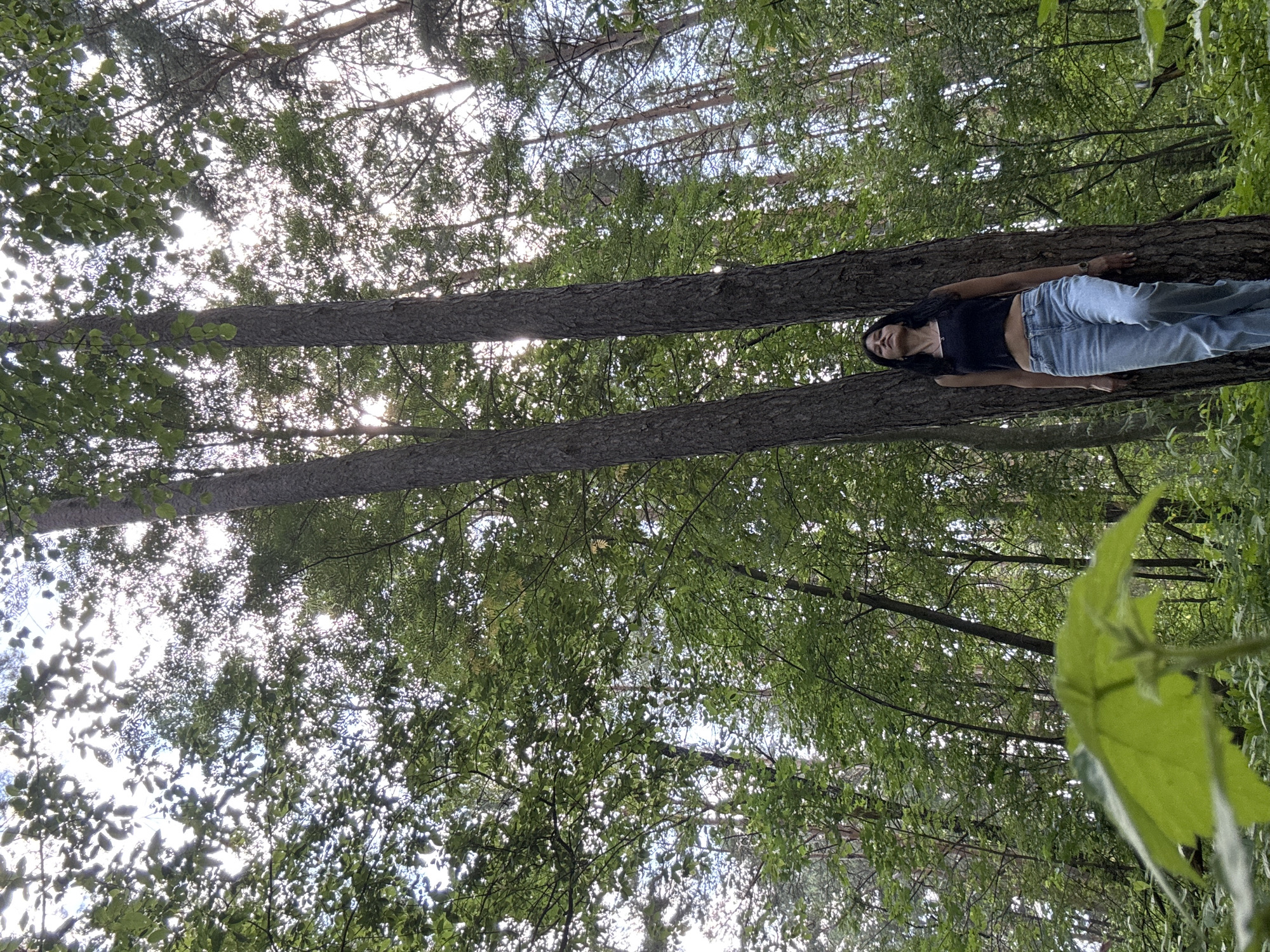 A young woman with long, dark hair stands leaning against two tall, thick trees in a forest. She is wearing a black crop top and light blue jeans. Her eyes are closed and her head is tilted back. The forest is dense with greenery, with sunlight filtering through the leaves of the trees, creating a dappled effect. In the foreground, a large, bright green leaf is visible, slightly out of focus. The image was captured in the city of Chaikovsky, Russia, suggesting a natural, wooded environment typical of the region.