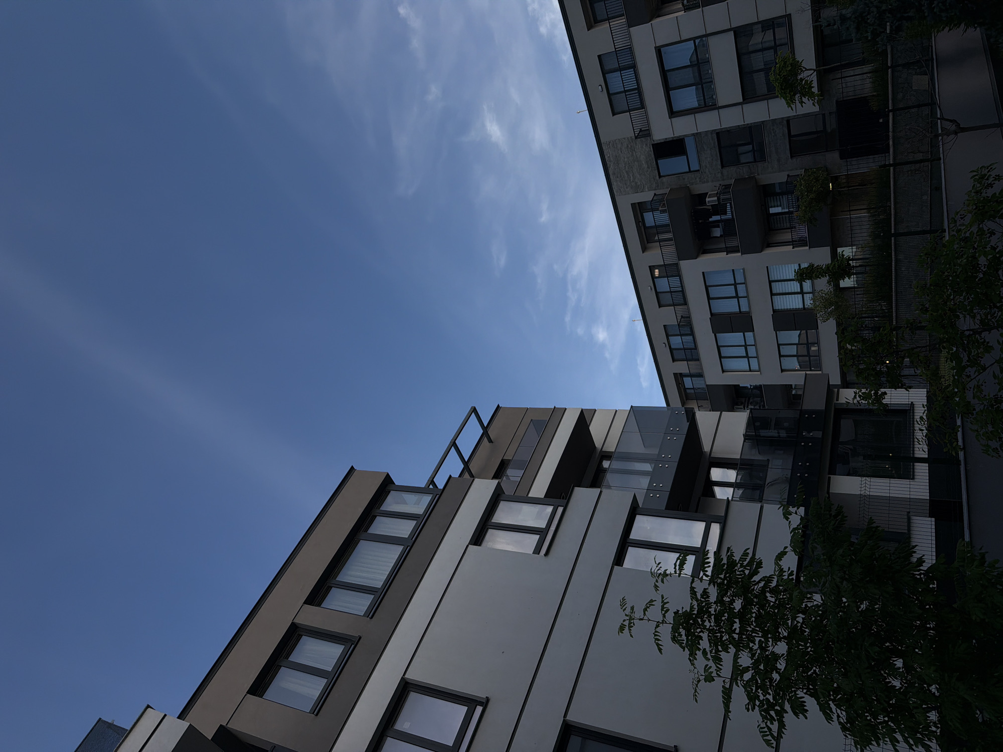 A low-angle, medium shot captures two modern apartment buildings against a backdrop of a clear, blue sky with wispy clouds. The building on the left, closer to the viewer, features a gray facade with horizontal bands of darker gray and beige. It has multiple floors with large, dark-framed windows, some with sheer white curtains visible. A small, leafy tree is positioned in the foreground to the left of this building.
The building on the right is slightly further away and also appears to be multi-story, constructed with lighter-colored panels and some textured gray sections. This building also has numerous windows and balconies with dark railings and glass panels. The sky occupies the upper half of the frame, with a subtle gradient from lighter blue near the horizon to a deeper blue overhead. The lighting suggests it is either early morning or late afternoon. The scene appears to be in a residential urban area. There are no people visible in the image.