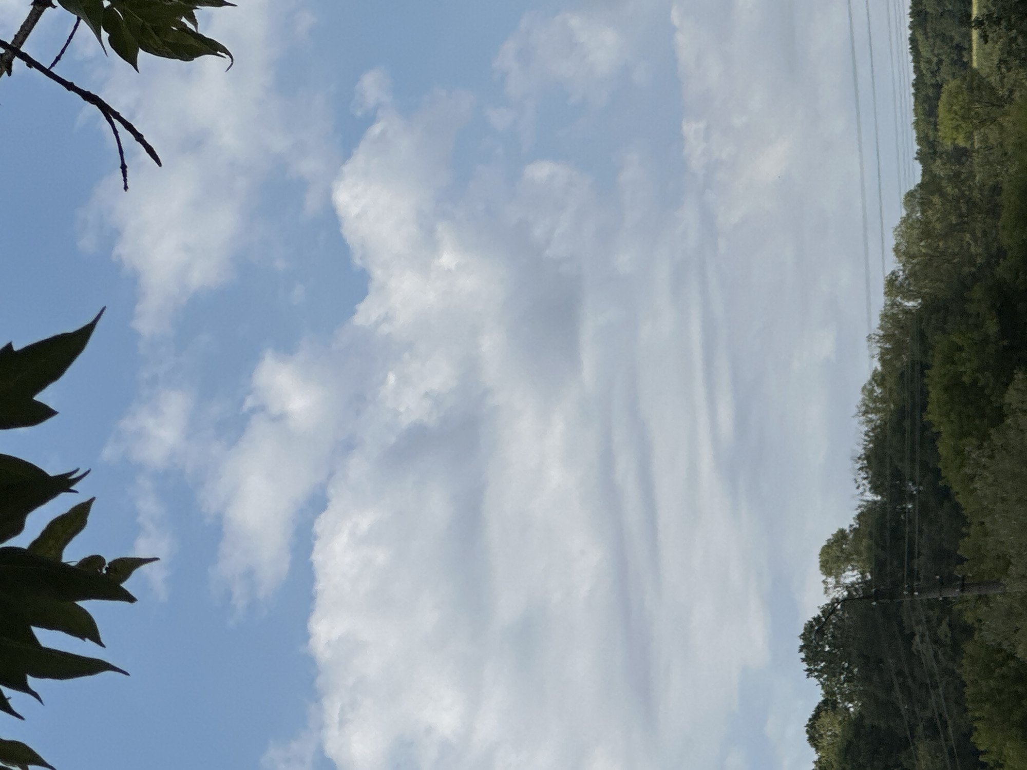 This is a low-angle, vertical, full shot of a bright, partly cloudy sky. In the foreground, the upper branches and leaves of a tree are visible at the top of the frame, casting shadows on the sky. The middle ground is dominated by the sky, with scattered white cumulus clouds against a light blue background. The horizon is low in the frame, showing a dense, dark green treeline. A single utility pole with wires is visible in the center of the treeline, indicating the scene is in a rural or suburban area of Makiv, Ukraine. The overall impression is that of a serene summer day.