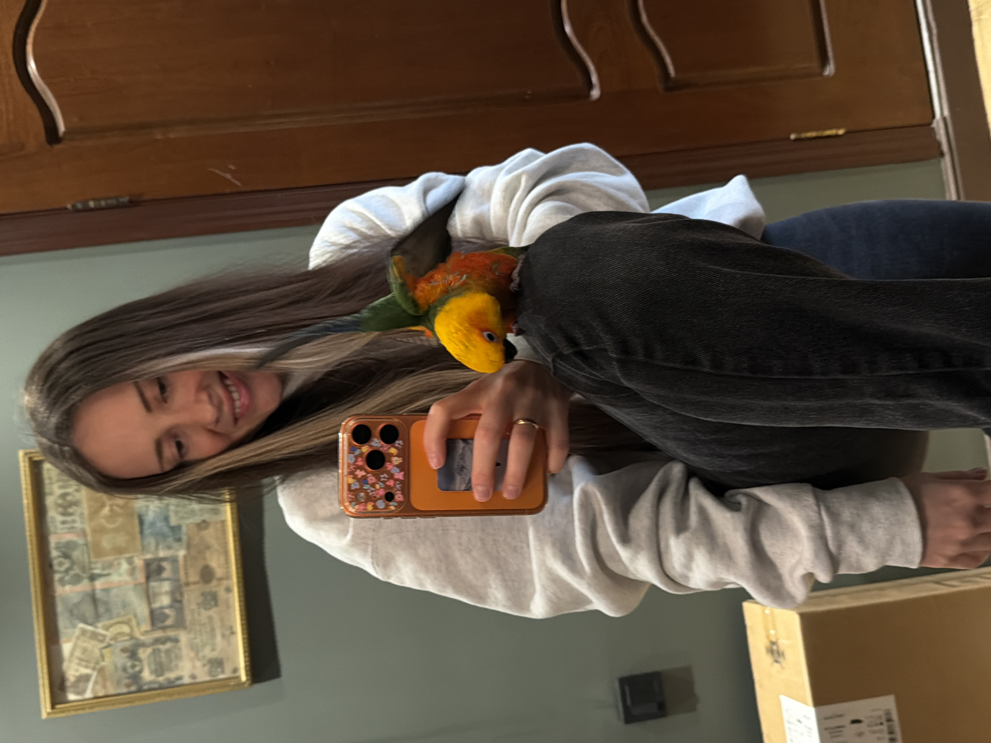 This image captures an indoor scene, identified as a residence in Khimki, Russia. A female subject is positioned centrally, taking a selfie with a smartphone. She possesses long brown hair with lighter streaks and is attired in a light grey crewneck sweatshirt and dark grey trousers. Her left hand, bearing a thin gold ring on the ring finger, holds an orange-cased smartphone with a floral pattern at the top and a small photo visible in a slot on the back.
Perched on her left thigh is a vibrant parrot, likely a Sun Conure (*Aratinga solstitialis*), displaying yellow plumage on its head and chest, transitioning to orange on its belly, and green and blue on its back and tail feathers. Its wings are slightly spread.
The background consists of a muted teal-colored wall to the left, featuring a gold-framed artwork in the upper-left, appearing to be a collage of various old papers or banknotes. Below this, a dark square fixture is visible on the wall. To the right, a light brown wooden door with visible hinges and carved details occupies a significant portion of the frame. A large, light brown cardboard box is partially visible on the floor in the lower-left corner. The female subject is smiling.