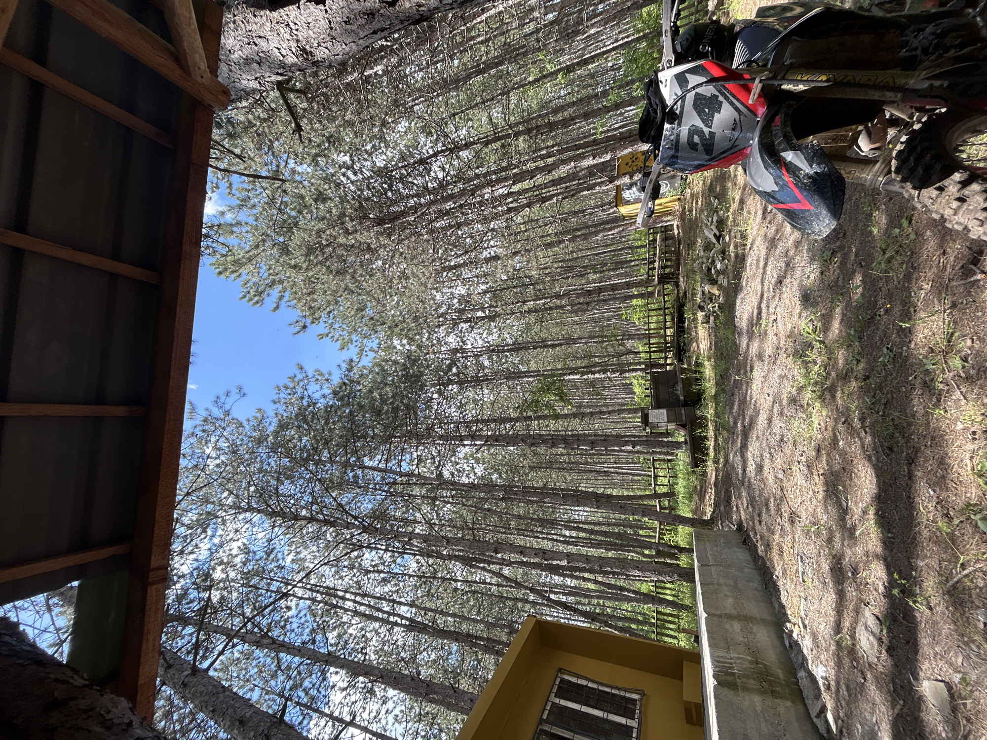The image depicts a dirt bike parked near a structure in a wooded area, possibly in or near Unknown, Unknown. A roof overhang frames the left side of the view, revealing a patch of blue sky through the branches of tall, slender trees that dominate the scene. The trees line up in rows, creating a forest-like effect. A low fence can be seen amongst the trees. To the right, the partially visible dirt bike appears to be an off-road type, and the ground shows signs of dirt and vegetation. Part of a yellow building is visible at the bottom of the shot. The overall environment suggests a rural or semi-rural location.