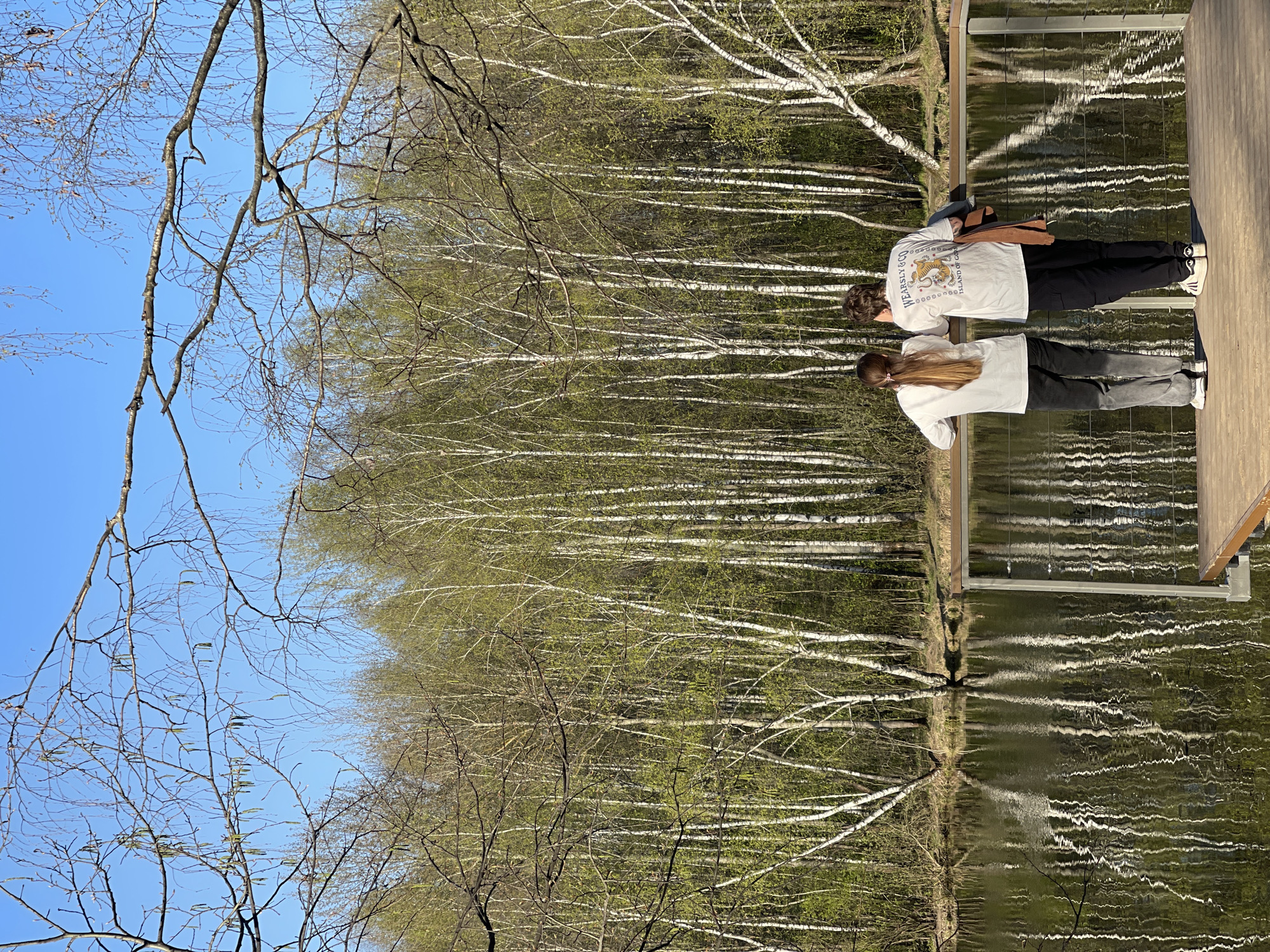 The image depicts a scene at the Eco-Bereg Park in Khimki, Russia, featuring two individuals standing on a wooden platform, likely a bridge or viewing deck, overlooking a body of water. The individuals, possibly a young woman and a young man, are leaning over the railing, presumably looking at the water. The water reflects the surrounding trees, predominantly birch trees, creating a mirrored effect. The sky is visible in the upper left corner, appearing clear and blue. The trees are starting to show early spring foliage. The scene is generally peaceful and serene.