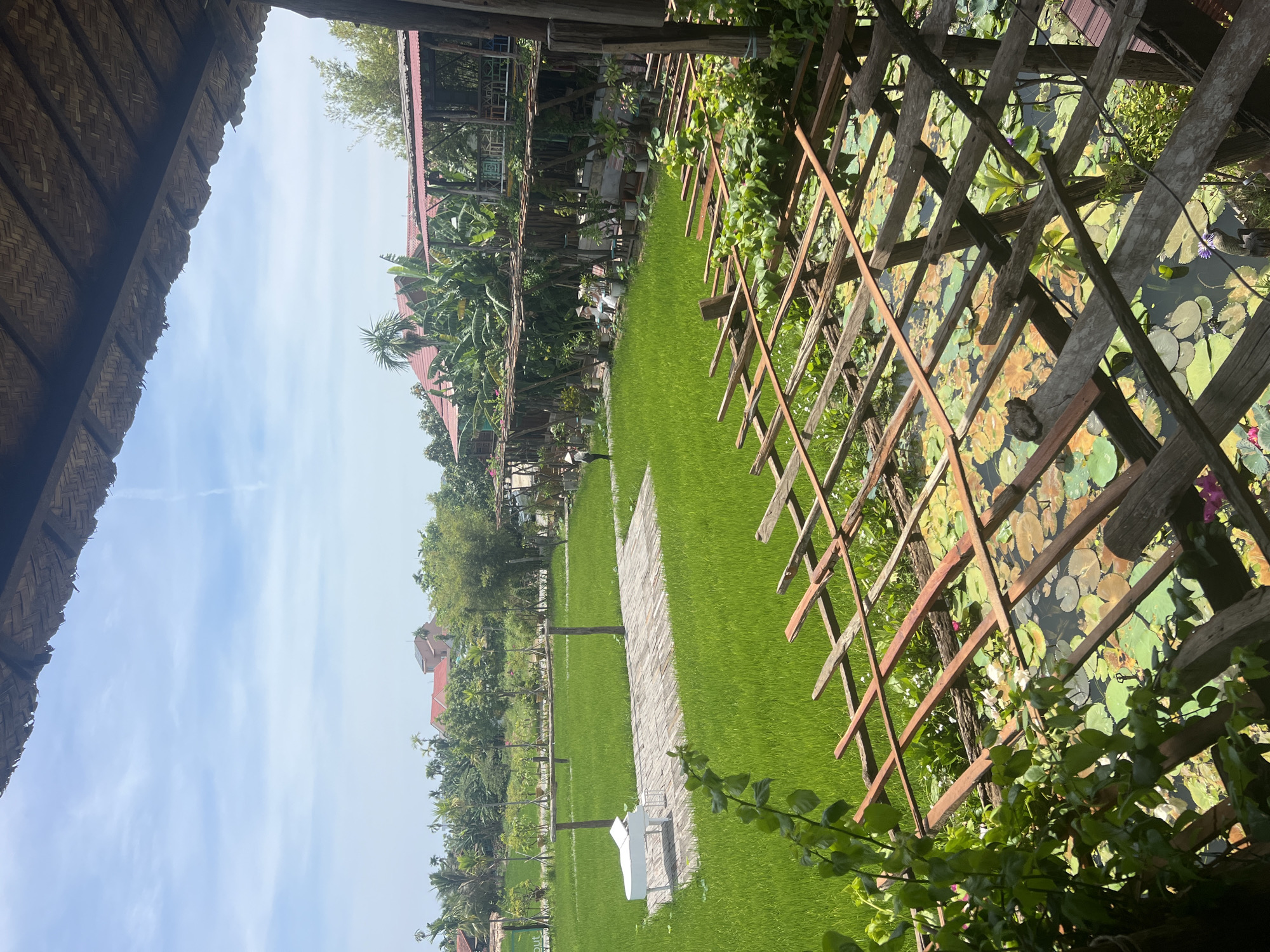 This image depicts a serene outdoor scene with lush green rice paddies and a tranquil pond, likely located in the countryside surrounding Hoi An, Vietnam. A white piano is placed on a wooden platform in the middle of the rice field, suggesting an artistic or cultural installation. In the background, traditional Vietnamese houses with red tile roofs and banana trees are visible, adding to the authentic rural atmosphere. The foreground features a rustic wooden structure with climbing plants and lotus pads in the pond, creating a sense of natural beauty and tranquility. The sky is partly cloudy, indicating a pleasant day.