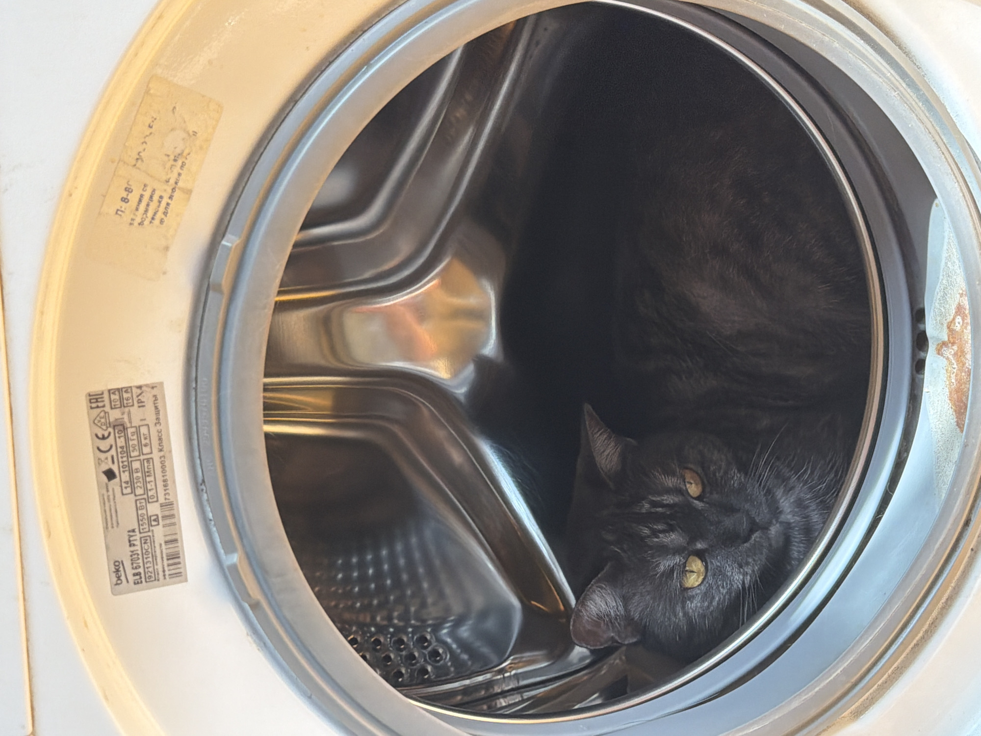 A black cat with yellow eyes is nestled inside a Beko washing machine. The washing machine's drum is visible, and a label on the exterior displays model information. The scene is indoors, likely in a residential setting in Naberezhnye Chelny, Russia, as indicated by the label's Cyrillic text. The cat appears relaxed and comfortable in its unusual resting place.