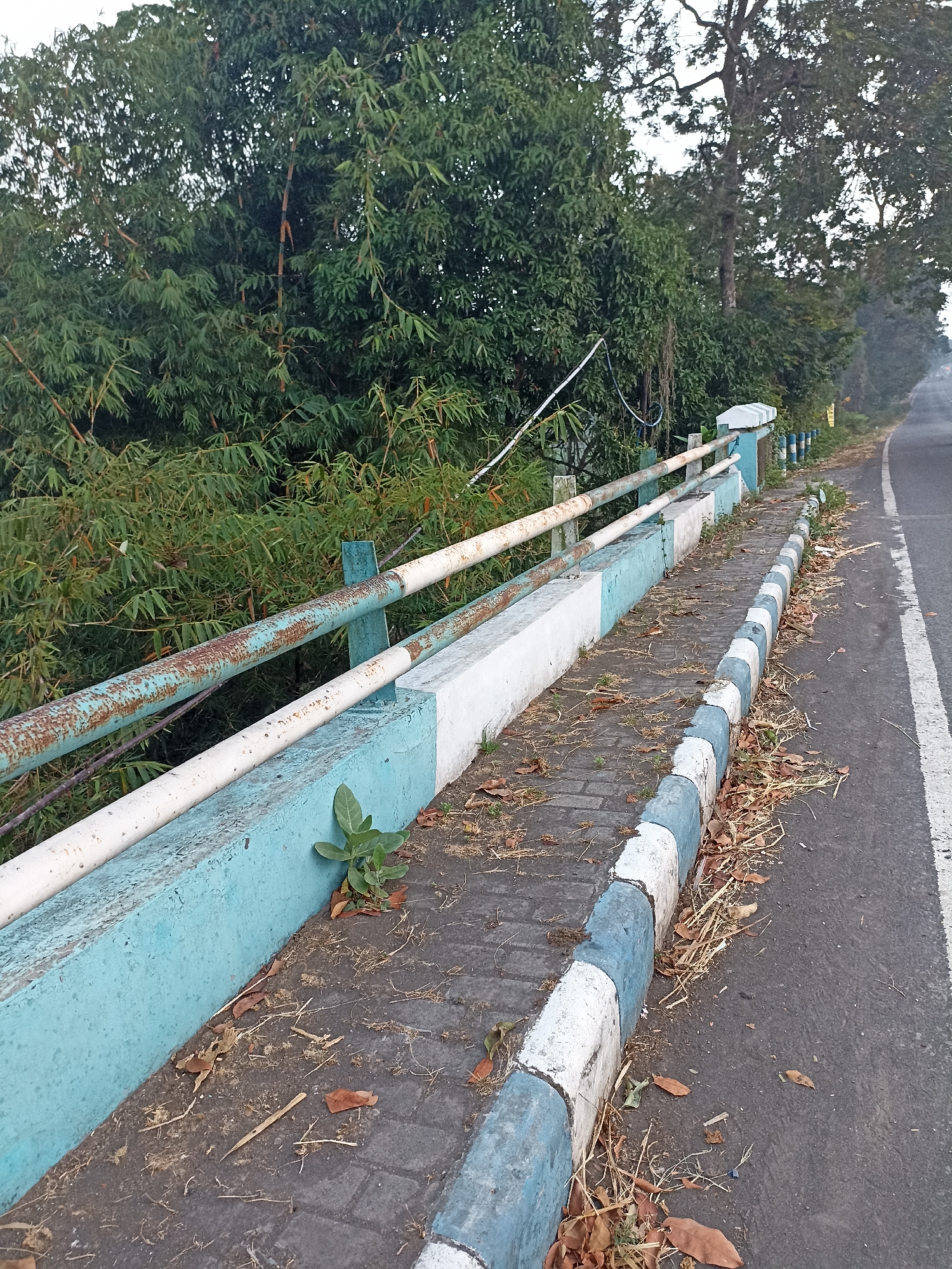 The image shows a roadside scene with a pedestrian walkway and a barrier. The walkway is paved with dark bricks and is bordered by a concrete curb painted with alternating white and blue stripes. Dry leaves and twigs are scattered on the walkway and along the curb. The barrier consists of a light blue concrete base with two horizontal metal railings, one white and one rusted white, running along its top. The metal railings are supported by vertical green posts. Behind the barrier is dense green foliage, appearing to be bamboo and other trees, creating a natural backdrop. The road is visible to the right of the walkway, with a white line marking its edge. The scene appears to be outdoors, possibly in a rural or semi-rural area given the vegetation. The lighting suggests it is daytime, possibly early morning or late afternoon due to the soft light and the faint atmospheric haze visible in the distance on the right side of the road. There are no people or animals visible in the image.