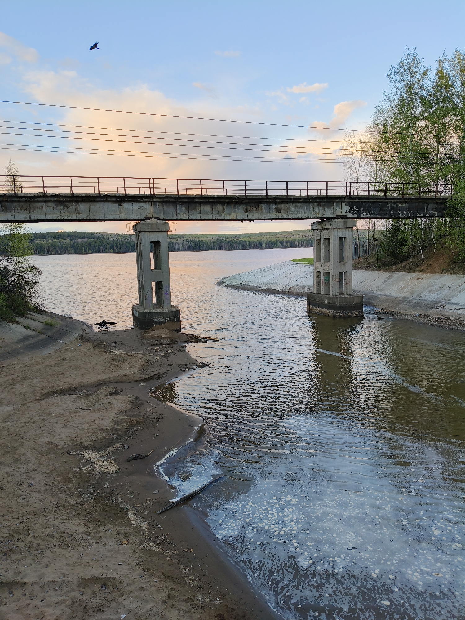 The image depicts a concrete bridge spanning a body of water in Chaikovsky, Russia. The bridge is supported by two concrete pillars with rectangular openings. Power lines run above the bridge. The water flows into a broader lake or river with forested banks. The shoreline in the foreground consists of sandy terrain, with some areas showing evidence of water contamination. A bird flies in the upper left of the image. The sky is overcast with hints of pink from the setting sun. Trees are present on the bank to the right of the frame.