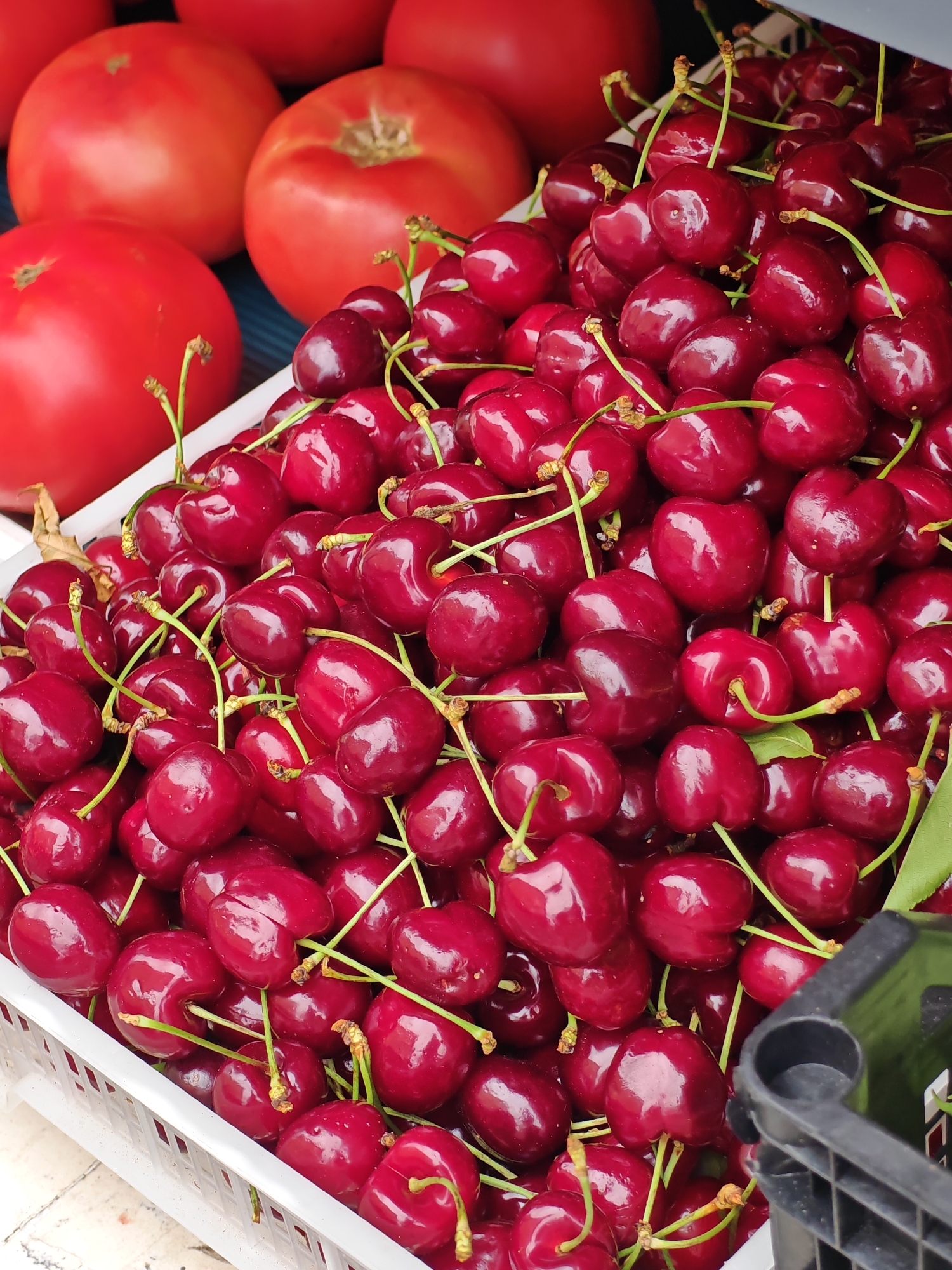 A close-up, high-angle shot shows a white plastic crate filled with ripe, dark red cherries. The cherries are glossy and have visible stems, with some appearing to be heart-shaped. In the blurred background, several large, red tomatoes are partially visible. The scene appears to be outdoors, possibly at a market. The image quality suggests it was taken with a mobile phone. There is no information in the image to suggest a specific location in Sofia, Bulgaria.