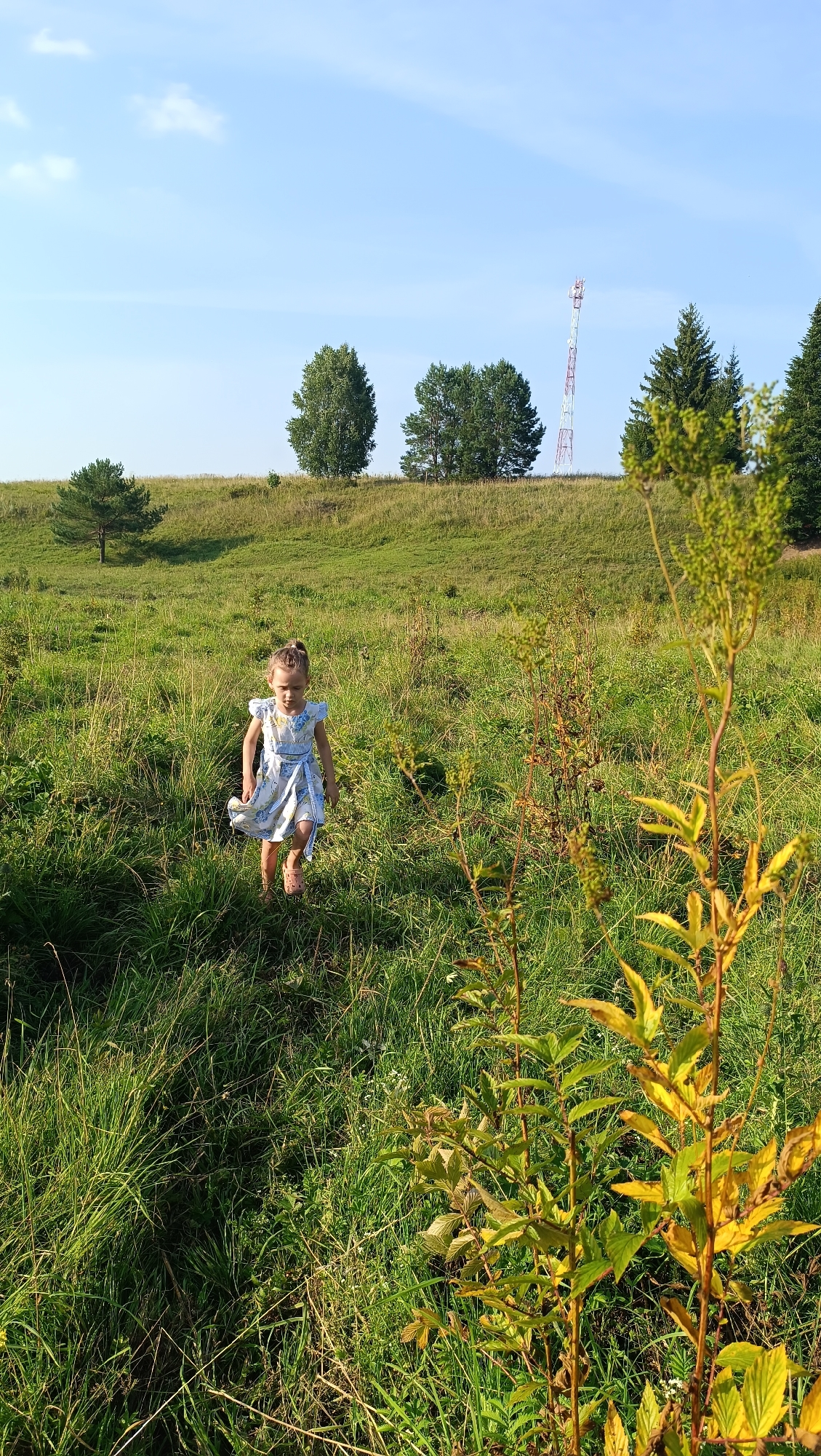 A young girl wearing a light blue and white patterned dress walks through a grassy field under a clear blue sky with scattered clouds. She has her hair pulled back in a ponytail and is wearing light-colored sandals. In the background, there are several trees, a distant cell tower, and rolling green hills. The foreground is dominated by tall green grass and some yellowing foliage. The lighting suggests it is daytime. The image appears to be taken outdoors in a rural or semi-rural setting, not within the city of Karsha, Russia.
