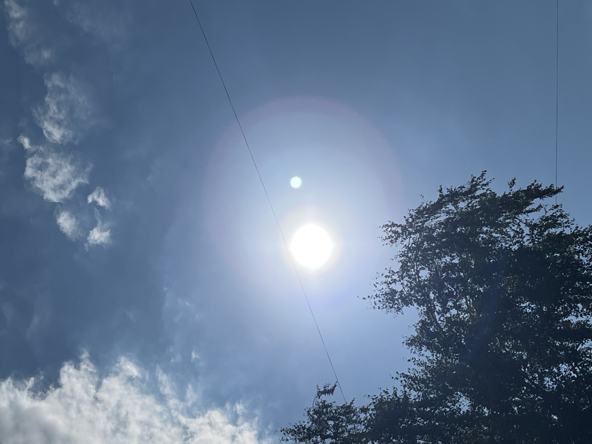An upward-facing medium shot captures a bright, hazy sun in the center of the frame, creating a prominent lens flare and halo effect. The sun is positioned to the right of a thin, dark, horizontal wire that stretches across the sky. To the left and bottom of the frame, the dark green foliage of trees with sparse leaves is visible, reaching up towards the sky. The sky is a clear, pale blue, with scattered white clouds on the left side of the image. Another smaller, brighter orb, possibly a lens artifact or a distant object, is visible to the right of the main sun.