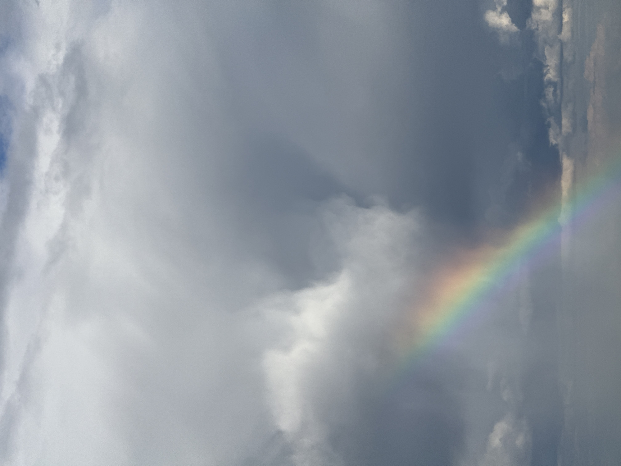 The image shows a partial rainbow arc stretching across a cloudy sky, likely in Poliudovo, Russia. The rainbow is positioned on the right side of the frame. The sky is filled with a mix of dark gray and white clouds.