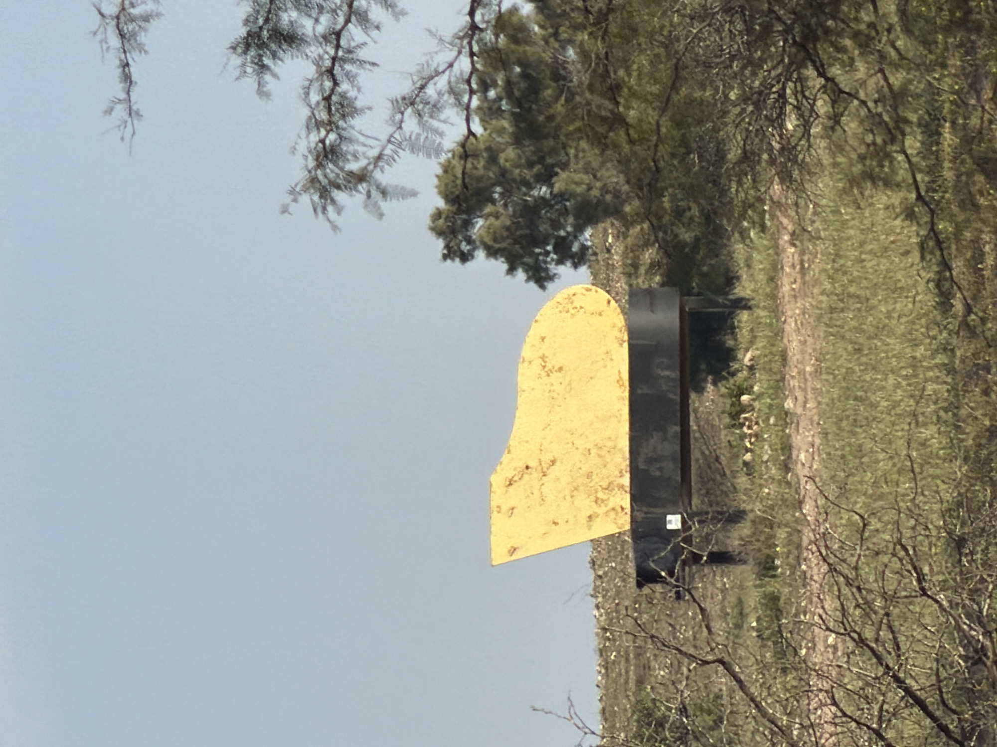 The image shows a yellow and black metal target stand in a rural, wooded area, presumably within the Bnei Shimon Regional Council, Israel. The target portion is yellow, and the support structure is black. Trees and sparse vegetation are visible in the background and foreground. The sky is light blue.
