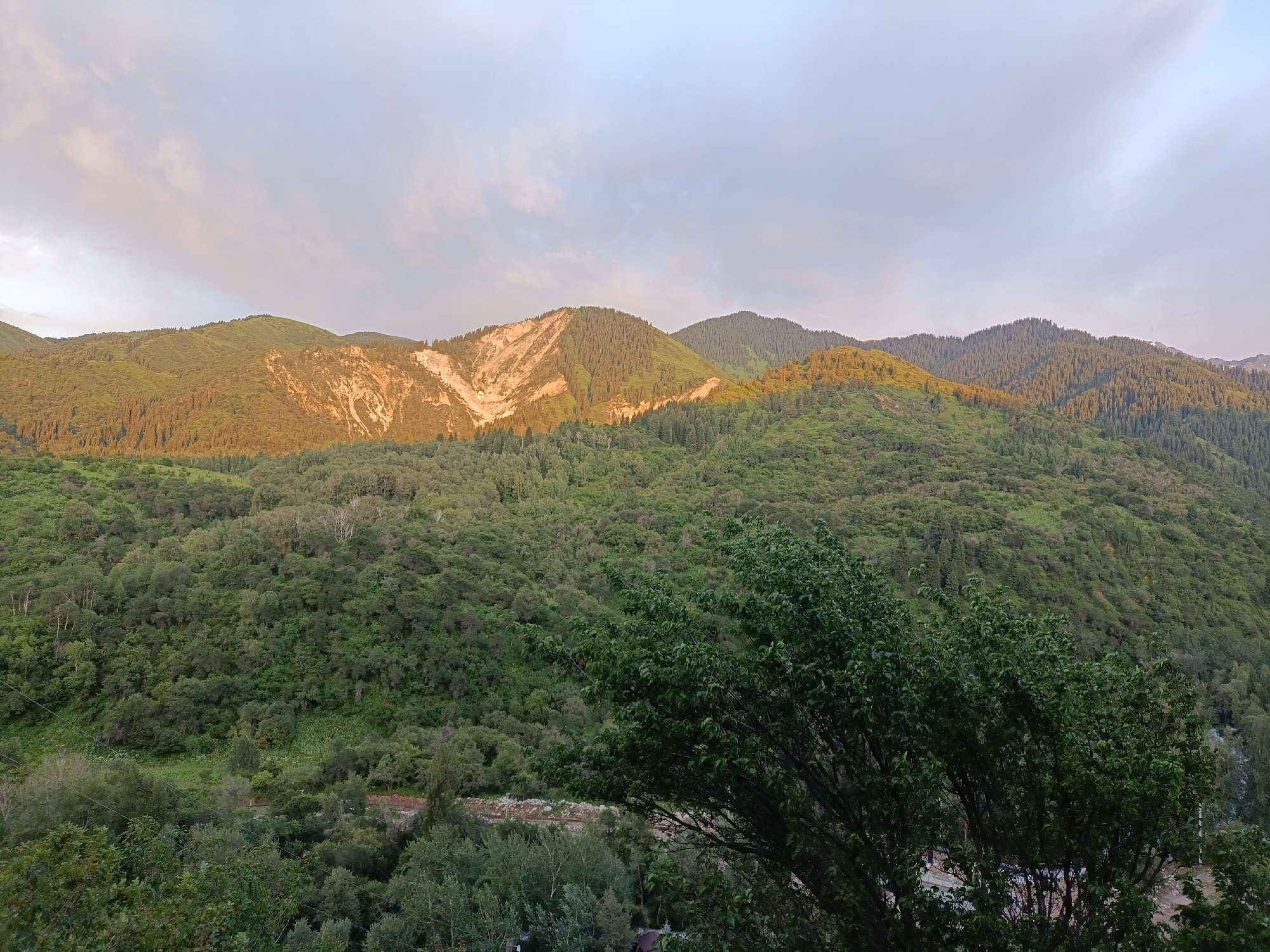 The image depicts a mountainous landscape with lush green slopes covered in trees. The foreground features a dense canopy of trees, with a large, leafy tree dominating the right side of the frame. In the midground and background, the mountains rise, also covered in a dense forest of evergreen trees. A prominent feature is a section of the mountain in the center that appears to have been eroded, revealing lighter colored rock face. The sky is overcast with scattered clouds, illuminated by what appears to be either early morning or late afternoon light, casting a warm glow on parts of the mountain. The overall scene evokes a sense of natural beauty and tranquility. The location is identified as Koklaisai, Kazakhstan. There is no visible text in the image.