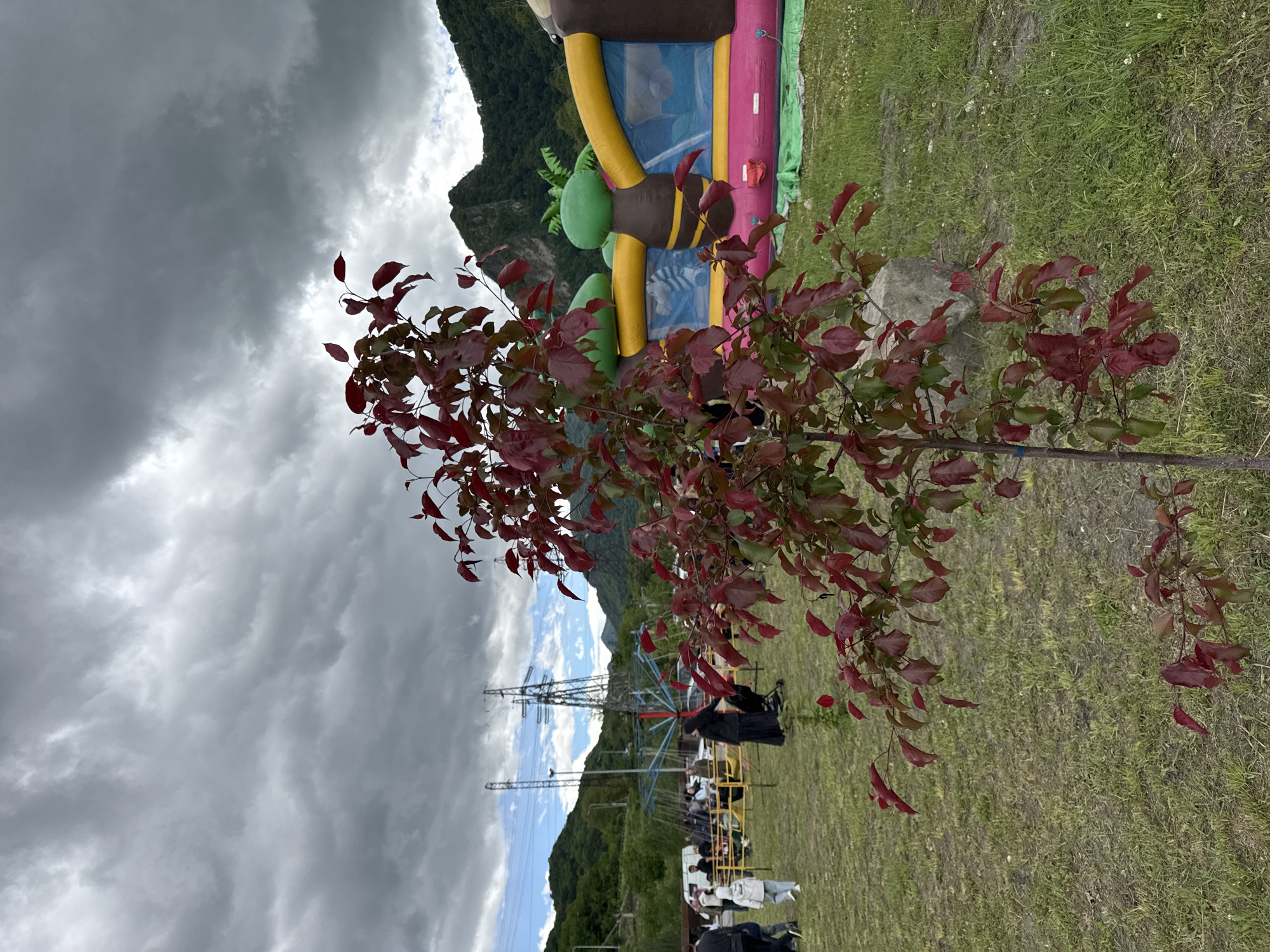 The image captures a scene in what appears to be a recreational area near Karachayevsk, Russia. In the foreground, a small tree with predominantly red leaves and some green foliage stands, possibly recently planted and supported by a stake. In the background, a partially obscured inflatable play structure, possibly a bouncy castle, can be seen with a yellow, pink, and blue color scheme.
Further back, people can be seen on a rotating amusement ride. Beyond the amusement ride, electrical power lines extend into the distance. Mountains are visible in the backdrop under a cloudy sky. The ground is covered with grass.