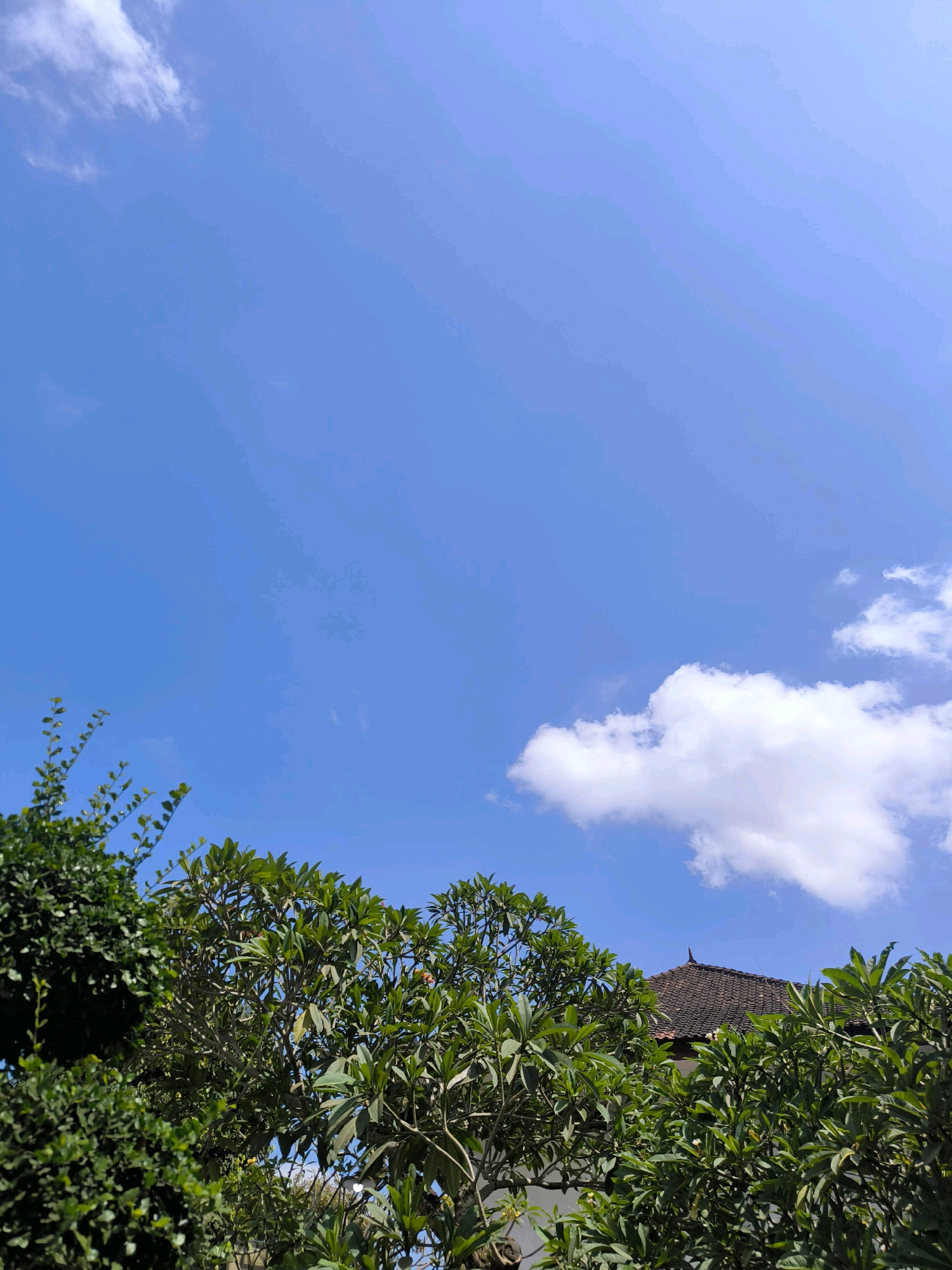 The image shows a clear blue sky with a few scattered white clouds, typical of sunny weather in Tabanan, Indonesia. In the foreground, lush green foliage from trees and bushes dominates the lower portion of the frame, obscuring the view of the ground. Partially visible above the greenery is the tiled roof of a traditional building. The scene appears to be an outdoor setting, possibly a garden or the grounds of a residential property, under a bright sky. There are no people or animals visible in the image.