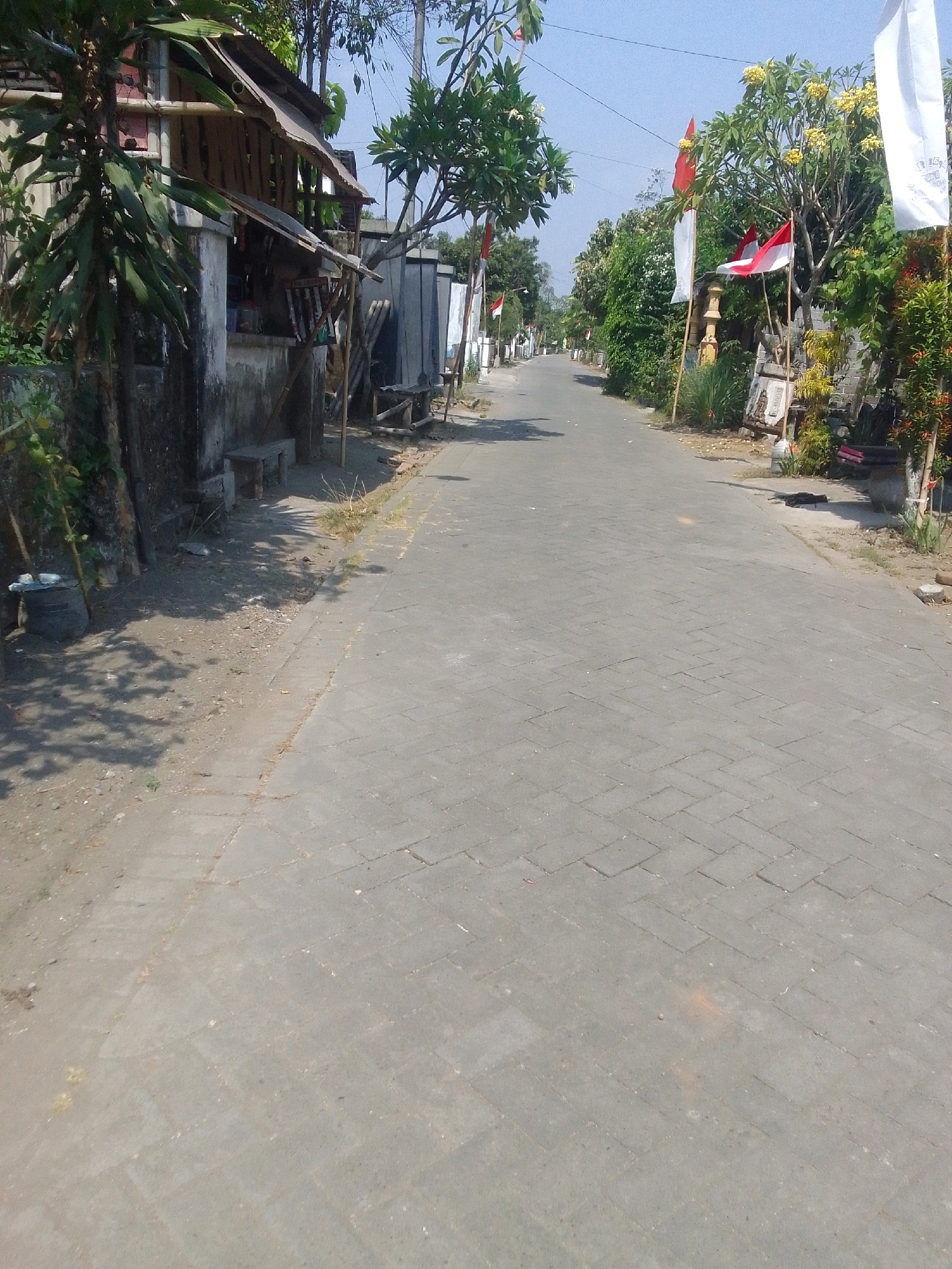 The image depicts a street in Ngadiluwih, Indonesia, on a clear day under a bright blue sky. The street is paved with interlocking gray bricks arranged in a herringbone pattern. On the left side of the street, there is a building with a rustic, open-air structure constructed with bamboo poles and a corrugated metal roof. This building appears to be a small shop or stall, with some items visible inside and a bench outside. Adjacent to this structure is a wall, and further back, dense green foliage and trees. The right side of the street is lined with more buildings, some with concrete walls, and an abundance of green vegetation, including trees with yellow flowers. Several Indonesian flags, red and white, are prominently displayed along the street, tied to bamboo poles. One large white flag is also visible. The scene is relatively quiet, with no people or vehicles immediately visible. Shadows are cast across the street and the ground, indicating the sun is high in the sky. The overall impression is of a residential or commercial street in a warm, tropical climate.