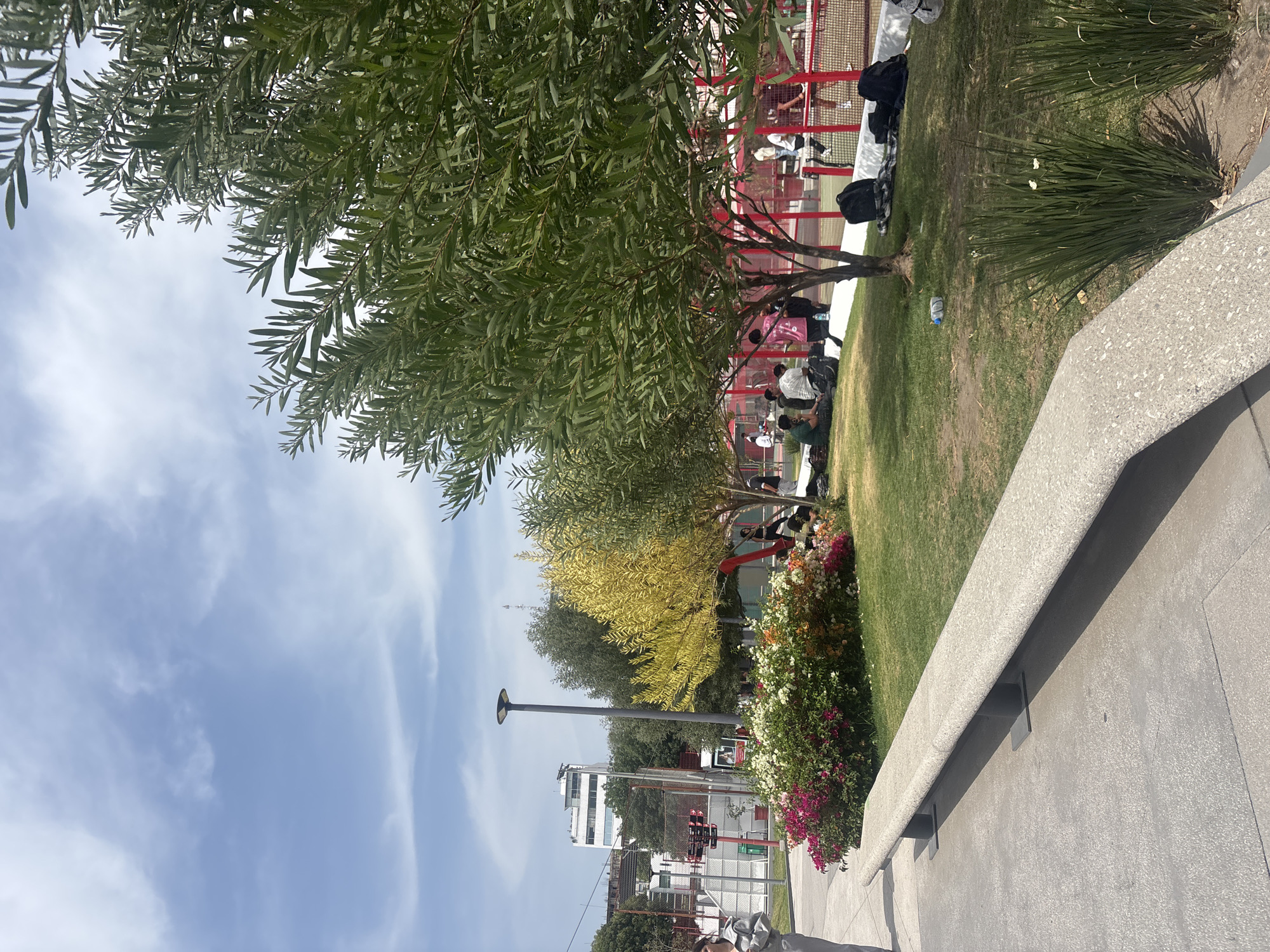 The image shows a daytime scene in Puebla, Mexico. A tree with dense green foliage dominates the upper left portion of the frame, partially obscuring a red metal fence behind it. Below the tree, a group of people are sitting and standing on a patch of green grass. Backpacks and other personal items are scattered nearby. To the right of the grass area, a concrete wall runs along the edge of a paved walkway.
Beyond the fence and grass, there is a view of a street with a street lamp, traffic lights, and several buildings in the background. The sky is light blue with scattered clouds. A patch of flowers is growing close to the concrete wall.