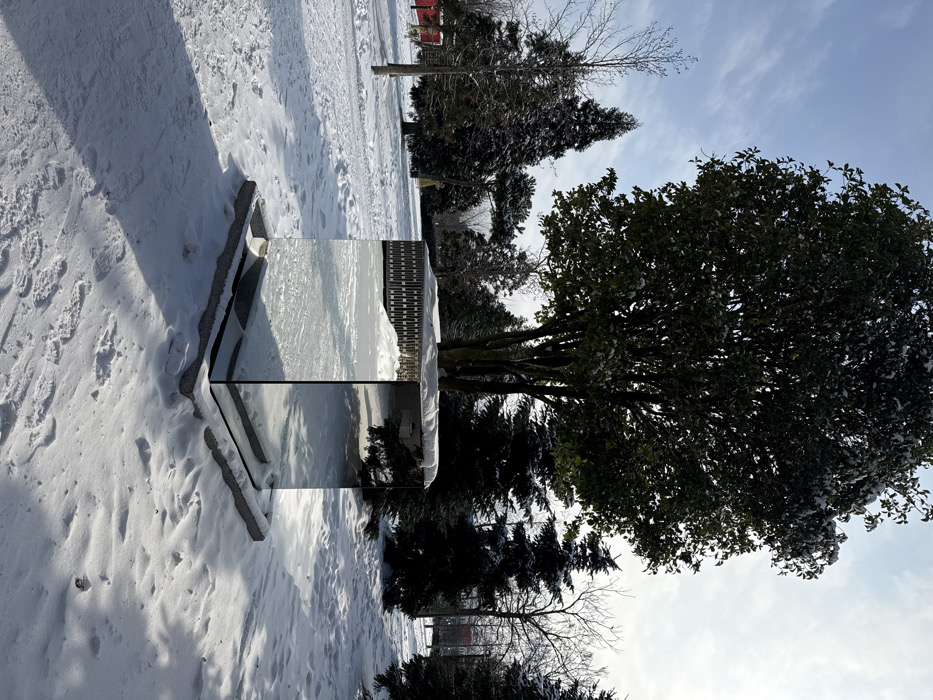 The scene depicts a snow-covered outdoor area in the city of Plodorodny, Russia, under a bright, clear sky with scattered thin clouds. The central subject is a freestanding, rectangular prism-shaped structure, approximately 1.5 meters tall, clad entirely in highly reflective mirror panels. This structure is positioned on a dark, flat base, which is partially covered by snow. A light dusting of snow is also present on the top surface of the mirrored object. Its reflective surfaces capture and distort the surrounding environment, including the snow-covered ground, nearby trees, and the sky.
The ground is uniformly covered in fresh snow, with discernible footprints forming a path on the left side of the frame, leading towards and past the mirrored structure. Long shadows are cast across the snow by the structure itself and the surrounding trees, indicating a low sun angle.
In the midground, directly behind the mirrored object, stands a large tree with dense, dark green foliage, lightly dusted with snow. To the left and right, a mix of bare deciduous trees and dark green coniferous trees are present, also showing a light snow cover. The background extends into a park or wooded area with more trees. No individuals, animals, or specific actions are observed within the frame.