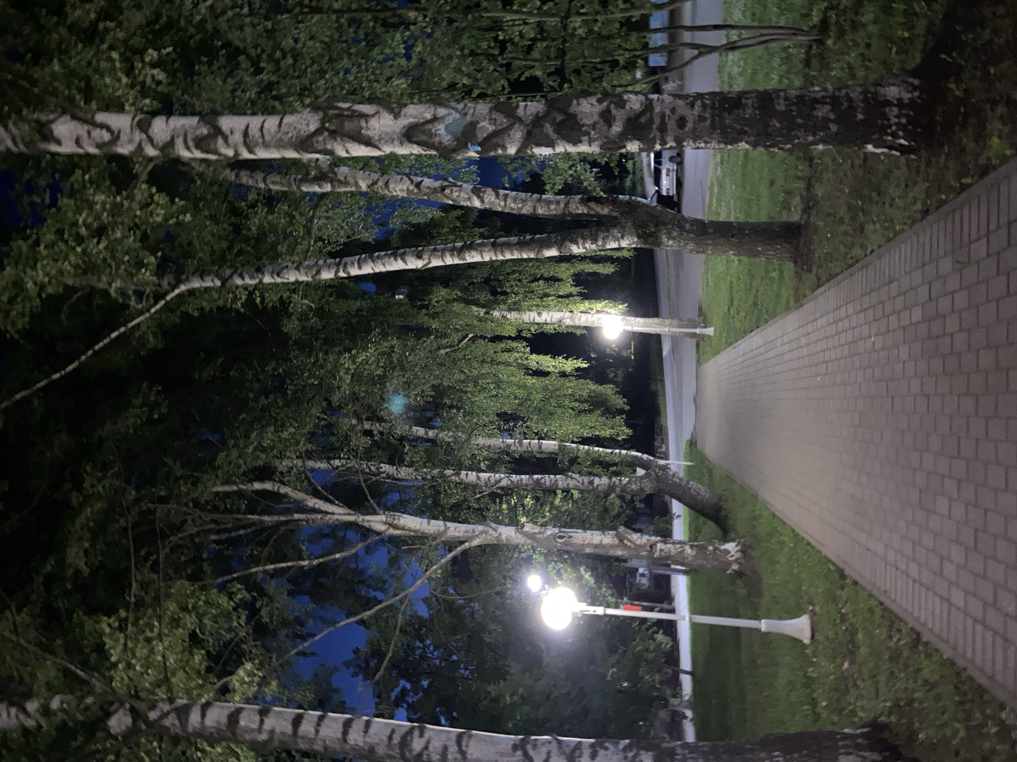 The image depicts a paved walkway at night, bordered by grass and several tall birch trees with distinctive white and black bark. Several streetlights illuminate the scene, casting a warm glow on the path and surrounding vegetation. In the background, a white car is visible parked on what appears to be a road. The sky is dark blue, indicating nighttime. The overall impression is of a peaceful, well-lit pathway in a park or along a street in a residential area. The specific location in Votkinsk, Russia, is not visually identifiable from the image itself, but the scene suggests a temperate climate with deciduous trees commonly found in such regions.