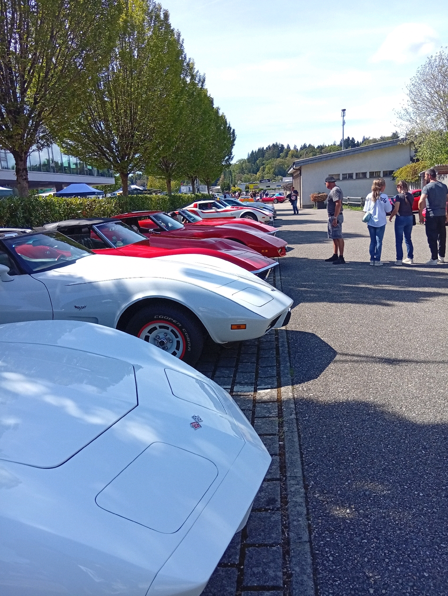 In Langenthal, Switzerland, a sunny outdoor event showcases a row of classic Corvettes parked alongside a building with a modern facade and a row of mature trees. The foreground features the front end of a white Corvette, its hood prominently displayed. Behind it, another white Corvette is visible, followed by several red Corvettes. The cars are arranged in a line on an asphalt surface, bordered by a paved walkway. A group of people is gathered near the building, observing the vehicles. Among them, three individuals stand out: a man in a black cap and grey t-shirt, a young woman with blonde hair in a white t-shirt, and a woman with dark hair in a blue t-shirt. Further back, a man in a grey t-shirt and shorts stands near a building entrance, while another man in a dark t-shirt and black pants walks away from the viewer. The scene is bathed in sunlight, casting long shadows across the pavement.