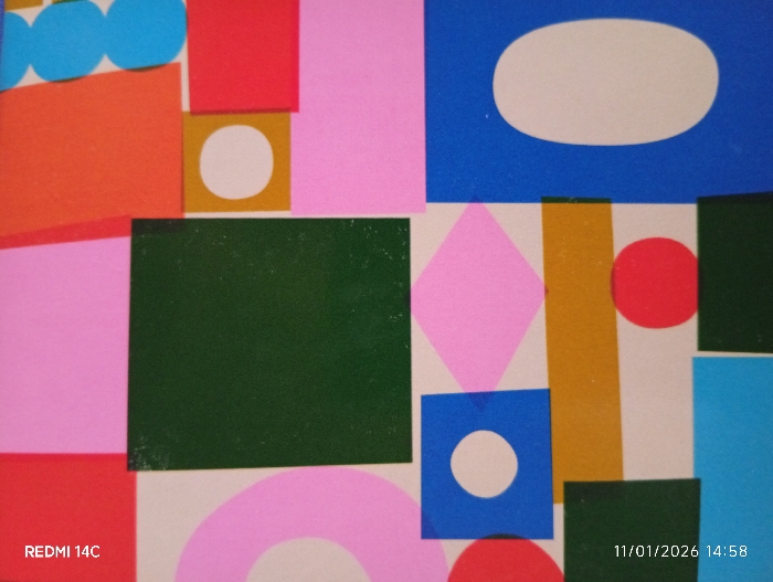 The image presents a brightly colored, abstract geometric composition, likely a two-dimensional surface such as a wall or artwork. The scene consists of numerous overlapping shapes including rectangles, squares, circles, ovals, and a diamond, set against a light, possibly off-white or beige, background. Prominent colors used are red, orange, light blue, dark blue, various shades of pink, dark green, and a brownish-yellow. White shapes, such as a circle within a dark blue square and an oval within a dark blue rectangle, are also visible. Partial shapes like blue semicircles and a large pink arc are incorporated. No people, specific objects beyond the geometric forms, actions, or interactions are depicted within the abstract scene itself. The text "REDMI 14C" is visible in the lower-left corner, and "11/01/2026 14:58" is visible in the lower-right corner, indicating the capture device and timestamp. This image was captured in Mgbidi, Nigeria.
