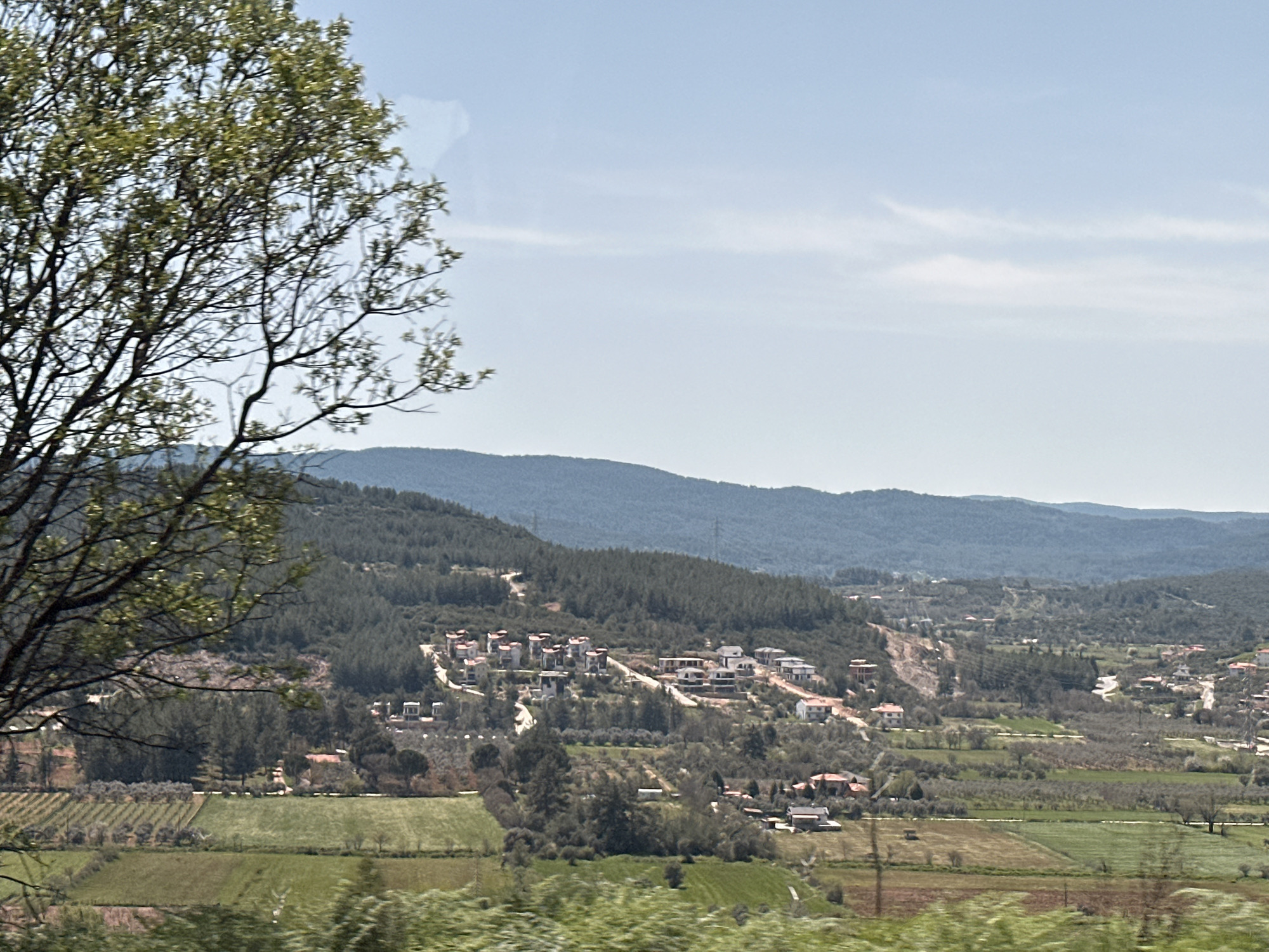 The image shows a landscape view of Menteşe, Turkey. In the foreground, there is a partially visible tree with budding green leaves on the left side of the frame and some green shrubbery along the very bottom of the image. The mid-ground consists of a valley with agricultural fields, including what appear to be olive groves and farmland divided into sections. Scattered throughout the valley and up the hillside are residential buildings, mostly modern houses with light-colored exteriors. On the hillsides, there are densely packed pine forests. In the background, rolling hills stretch across the horizon under a pale blue sky with light cloud cover.