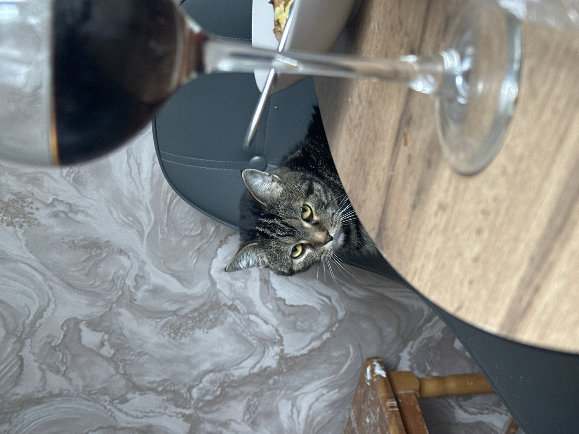 A top-down shot captures a domestic scene, seemingly indoors. A brown tabby cat with yellow eyes peers upward from beneath a grey chair, situated beside a light-colored wooden table. Above, a partially filled wine glass with a dark liquid is prominently positioned, its stem extending towards a dish on the chair. The floor displays a marble-like pattern in neutral tones. The lower right corner reveals a section of a wooden step ladder with traces of white paint. The image does not contain identifiable information to suggest a location in Stavropol, Russia.