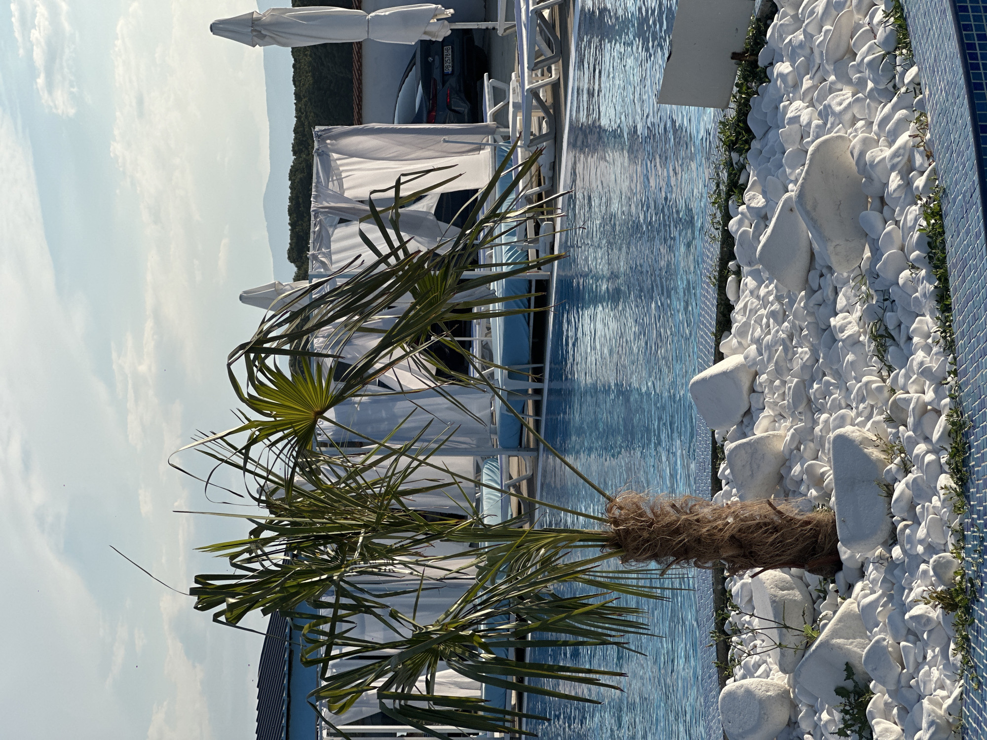 The image shows a resort pool area with a palm tree in the foreground. The pool is surrounded by white stones and vegetation. In the background, there are white cabanas with blue lounge chairs, a car, and a building with a blue roof. The sky is partly cloudy. The image is taken in Pazardzhik, Bulgaria.