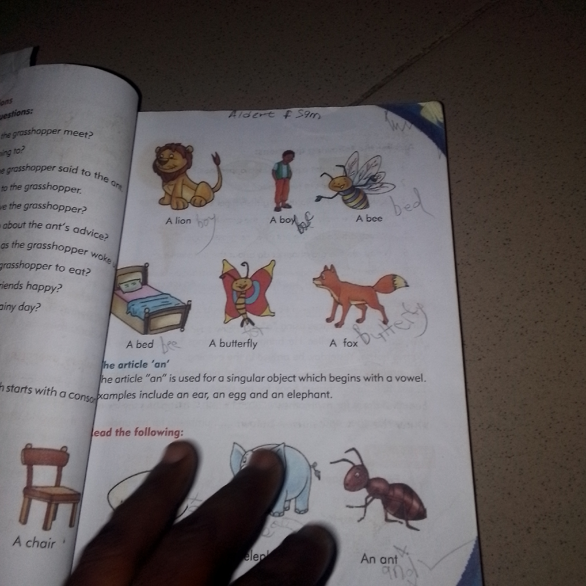 The image shows an open book with drawings and text. The left page features a list of questions, and the right page displays a collection of hand-drawn illustrations of animals and objects, each with a label. The illustrations include a lion, a boy, a bee, a bed, a butterfly, and a fox. Some of the labels have handwritten annotations. At the top of the right page, there is a handwritten title "Aldert f Sam". Below the illustrations, there is a paragraph explaining the use of the article "an", followed by the heading "Read the following:". The right page also includes drawings of a chair, an elephant, and an ant, with their respective labels. A person's hand is visible in the foreground, obscuring parts of the bottom of the book. The overall scene appears to be a learning activity, likely for children, focused on English grammar and vocabulary. The image quality is somewhat grainy, suggesting it was taken with a mobile phone camera. The setting appears to be indoors, possibly a home or classroom, with a neutral background. No specific time of day or weather conditions can be inferred. The text is entirely in English.