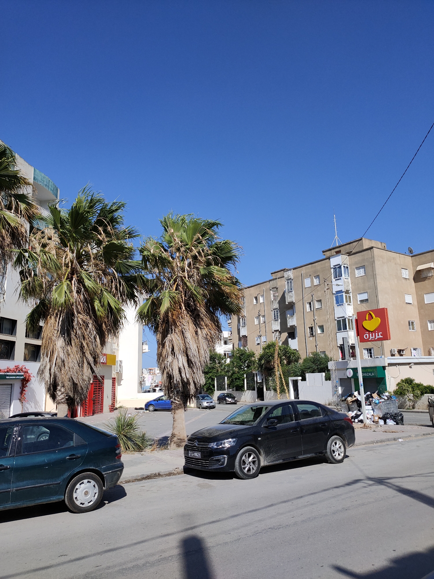A street scene in an urban environment under a clear blue sky. In the foreground, a dark green hatchback car is parked on the left side of the road, facing left. To its right, a black sedan is parked on the right side of the road, facing right. The sedan's license plate reads "213-YB621".
Behind the cars, a sidewalk is visible with a large trash bin overflowing with garbage bags. A sign above the trash bin reads "PHARMACIE E GHAZALA". Further down the street, there is a multi-story building with a beige facade, featuring numerous windows and balconies. A red sign with a yellow basket logo is mounted on the building.
Several palm trees with dry, brown fronds are scattered throughout the scene, with their green fronds extending towards the sky. A few other cars are visible in the distance, including a blue hatchback and a silver sedan. The buildings and palm trees suggest a location in a warm climate, possibly coastal. The presence of the pharmacy and the architecture of the buildings indicate a Mediterranean or North African setting. The overall scene is one of everyday urban life with a focus on street-level activity and public spaces.