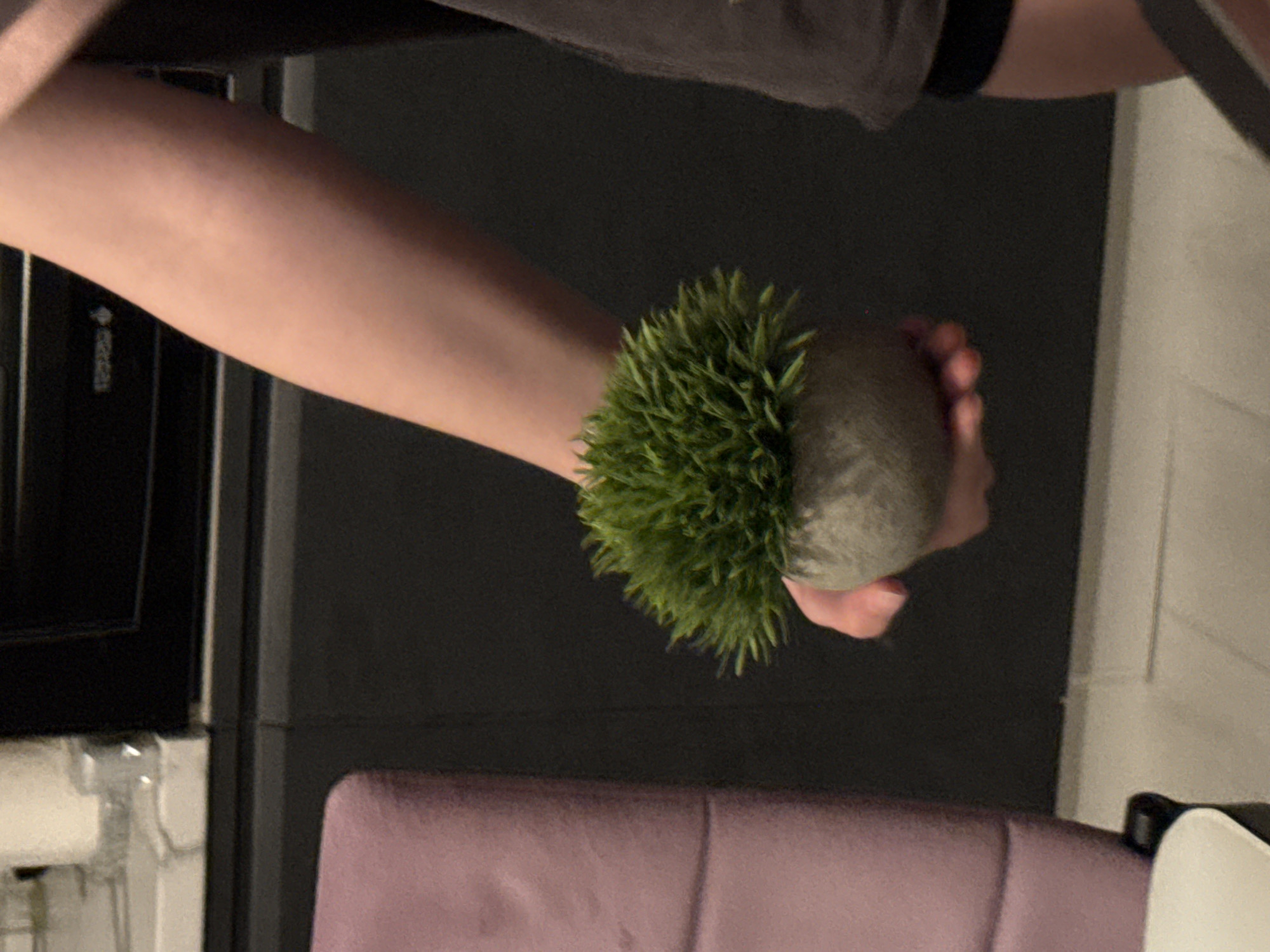 A person's arm is displayed against a dark gray backdrop, with a dense, spiky, green sphere secured to the wrist. The hand of the arm is seen clutching a similarly colored gray sphere. A purple chair is visible in the foreground, and an appliance with a black front is situated to the left of the arm. The location is Unknown, Unknown.