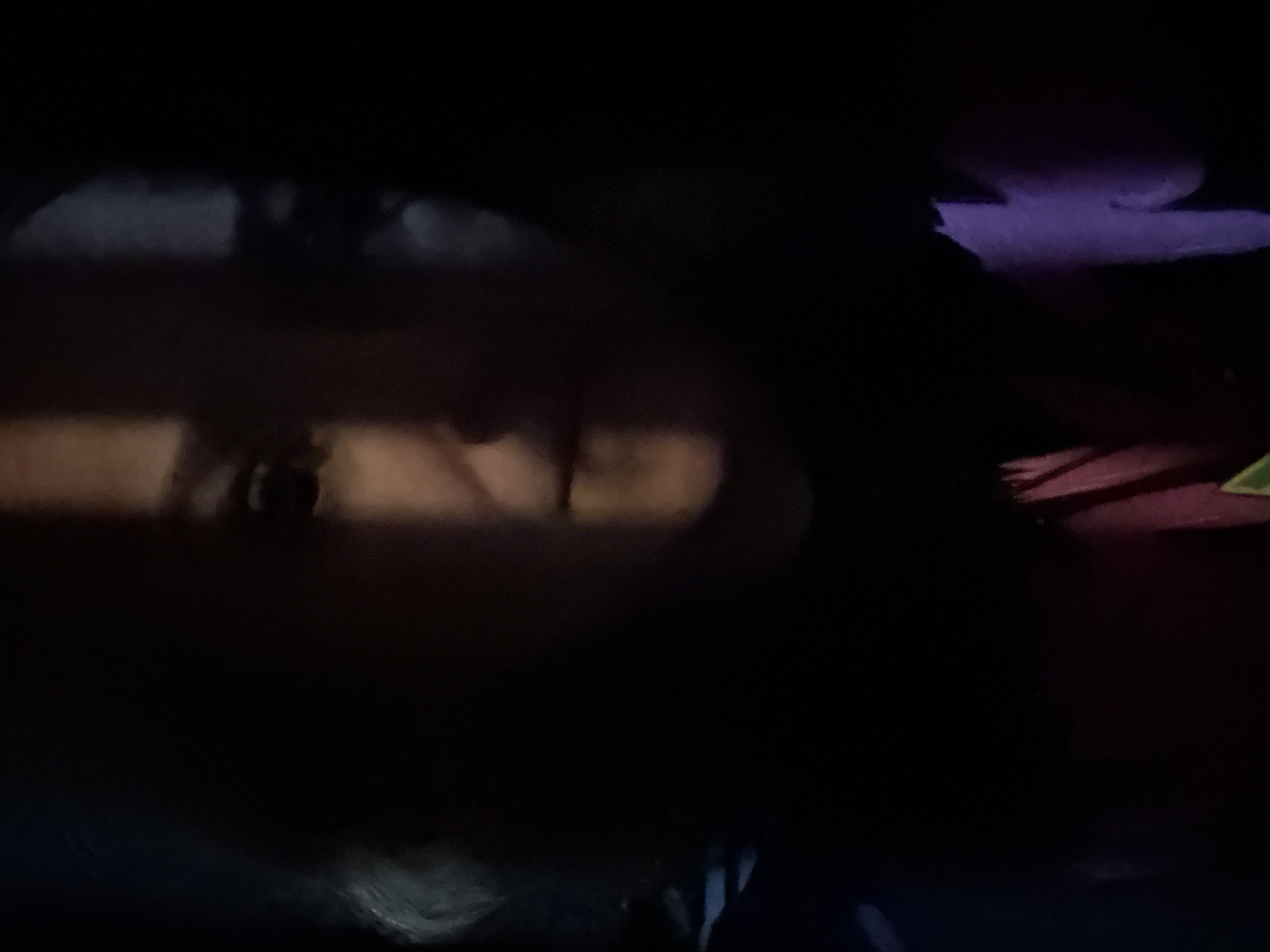The image is dark and blurry, making it difficult to discern specific details. There is a hint of a face in the center, with some indication of eyes and hair. To the right are indistinct patches of color, possibly purple and red. Due to the low light and poor resolution, it is impossible to confirm the location as Chaikovsky, Russia, or provide a detailed description of any actions or interactions taking place.