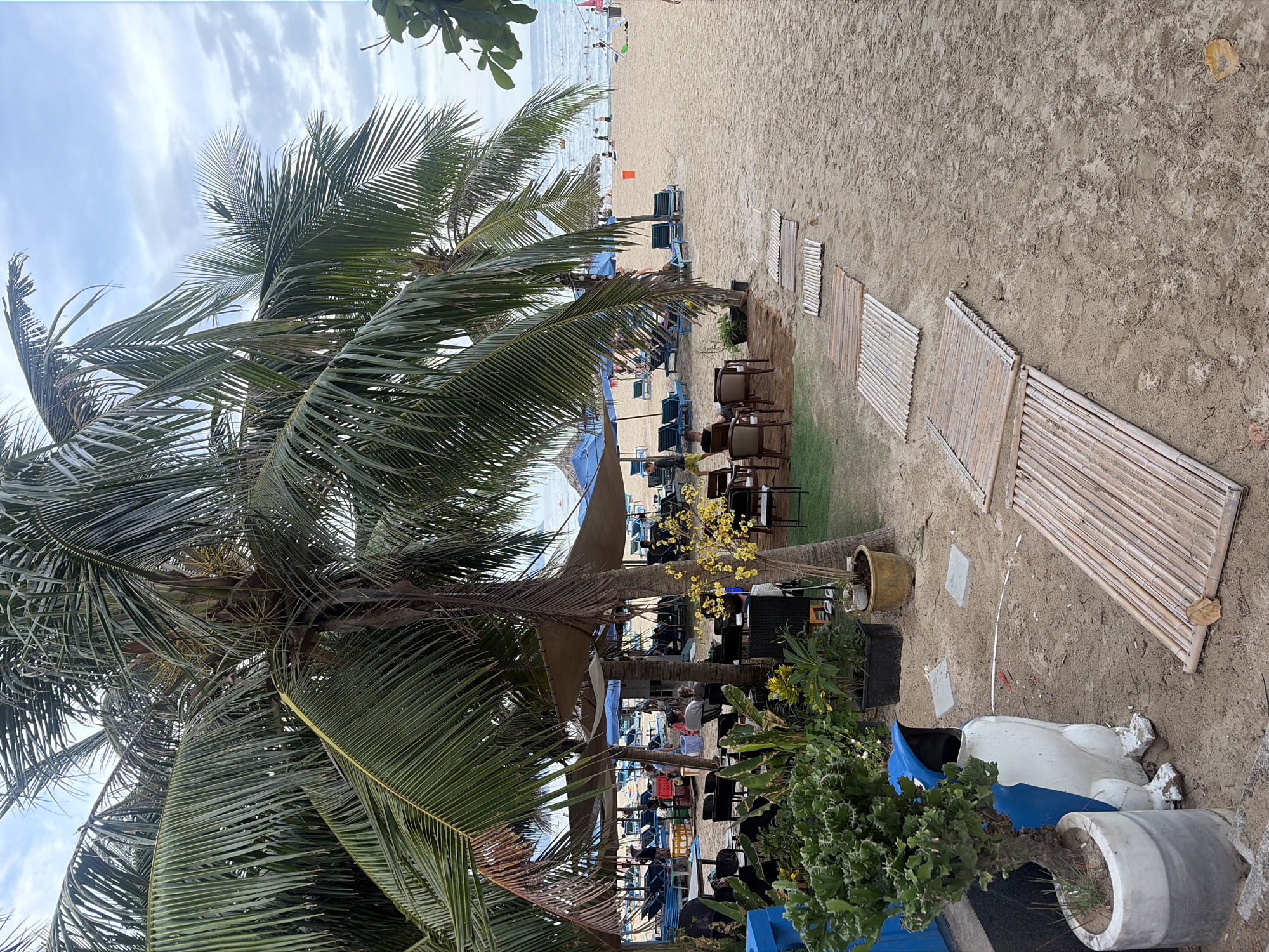 The image depicts a beach scene in Đà Nẵng, Vietnam. In the foreground, a lush green plant is potted in a circular concrete planter to the left. Adjacent to it is a blue and white penguin-shaped trash bin. Several bamboo walkways are laid out on the sandy ground, leading towards the beach. In the mid-ground, palm trees with dense fronds provide shade over a seating area with chairs and tables. Further back, umbrellas and lounge chairs are set up on the beach, with people relaxing and enjoying the ocean. The water appears calm, with a few individuals swimming or wading in the sea. The sky is overcast with scattered clouds.
