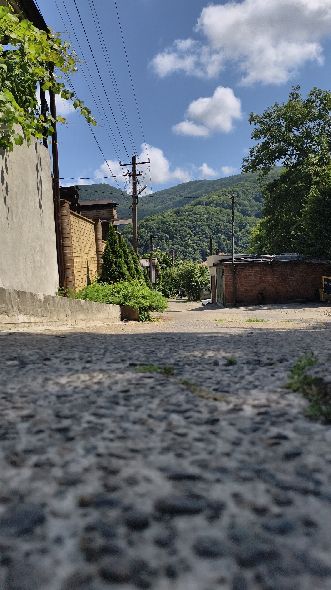 The image captures a street view in Prigorodny, Russia, characterized by a low-angle perspective of a paved road. In the foreground, the rough texture of the asphalt is prominent. To the left, a light-colored building wall with a concrete curb runs along the street, bordered by lush green foliage and a tall, thin evergreen tree. Behind the wall, a light brown brick fence is visible.
The mid-ground shows a road winding into the distance, flanked by buildings. One building is constructed of red brick with a dark, possibly corrugated, roof. Adjacent to it, a smaller structure with a green door is present. Further down the road, more trees and buildings are visible, interspersed with power lines and utility poles.
The background is dominated by a densely forested, green mountainside under a bright blue sky with scattered white clouds. The overall scene suggests a residential or semi-rural area with a backdrop of natural landscape. No people are visible in the frame.