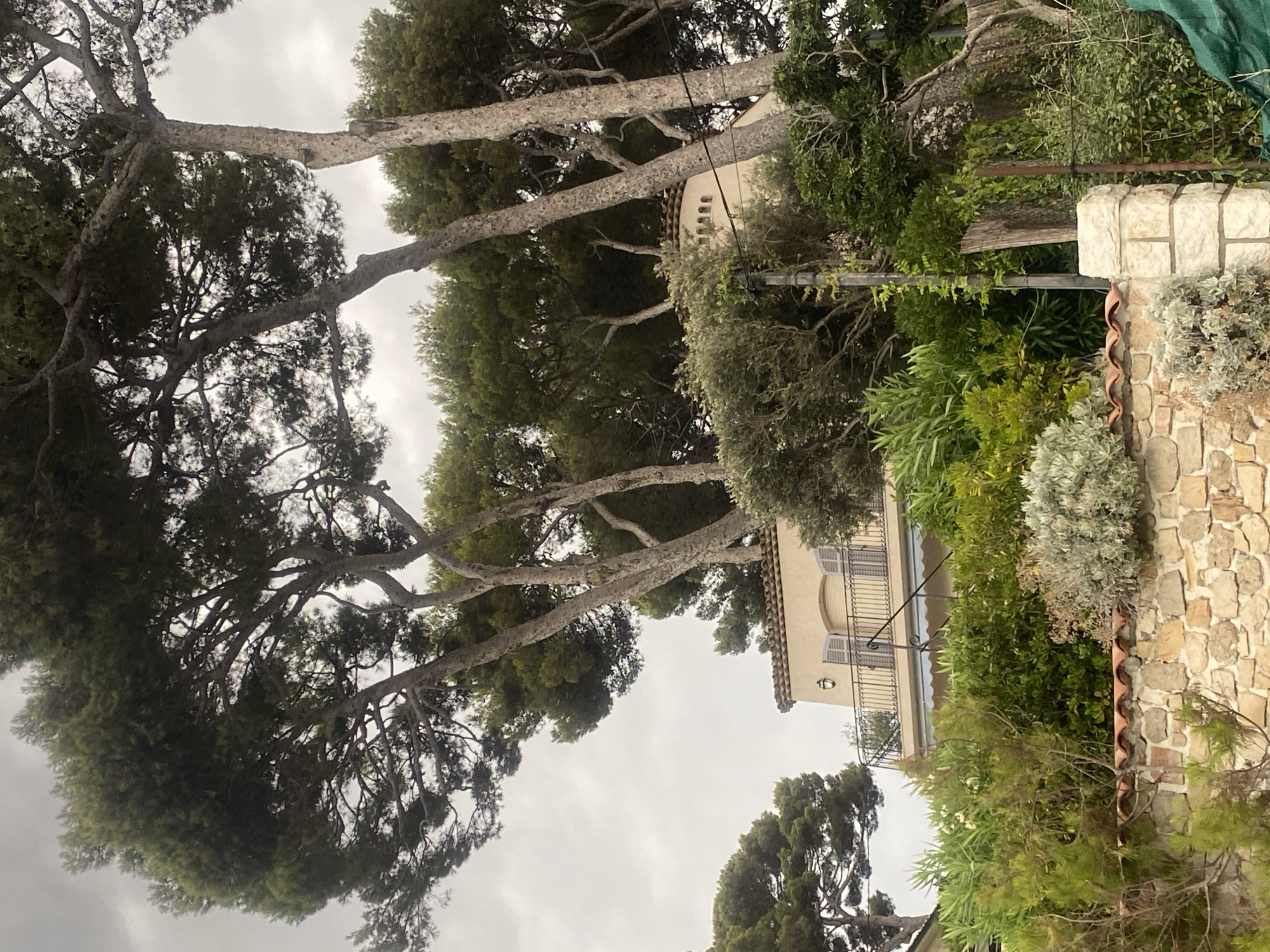 In Antibes, France, a villa is nestled behind lush vegetation and tall trees against a cloudy sky. The villa features a light-colored facade with a red-tiled roof and a balcony with dark railings. The balcony is adorned with plants, and shutters cover the windows. The foreground is dominated by a low stone wall topped with red tiles, bordering an array of green bushes and trees.