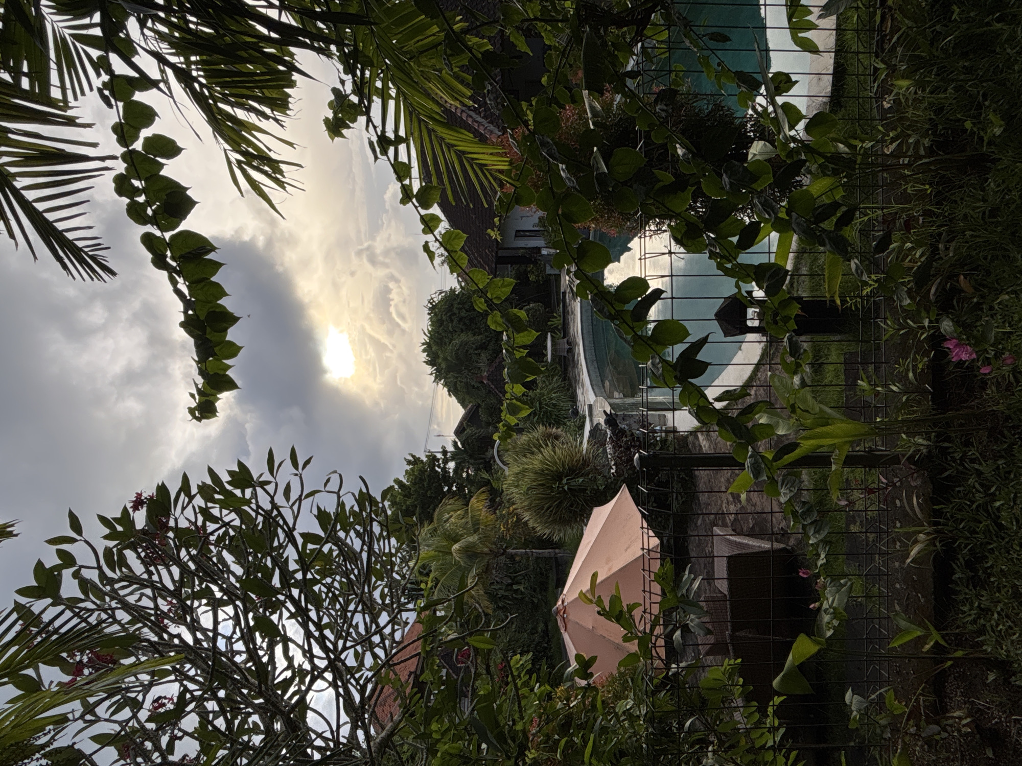 The image captures a serene tropical garden scene, likely part of a villa or resort in Kuta Selatan, Indonesia. The overall impression is one of lush greenery and tranquility.
The sky occupies the upper portion of the frame, showing a mix of bright, sun-kissed clouds and darker, more overcast areas. The sun, partially obscured by clouds, is visible in the upper right quadrant, casting a bright, warm glow across the scene, suggesting either late afternoon or early morning.
In the immediate foreground and wrapping around the left side, dense tropical foliage dominates. Large palm fronds frame the left and top edges, while a vibrant green vine with numerous leaves hangs down. A tree with intricate, bare branches, adorned with small clusters of reddish-pink flowers (possibly frangipani or plumeria), stands prominently on the left.
A dark metal grid fence runs through the middle of the image, separating the very dense foreground plants from the rest of the garden. Beyond this fence, a curved swimming pool with light blue water is visible, reflecting the bright sky. To the right of the pool, a peach or light orange garden umbrella is open, positioned amongst more green bushes. Further back, more palm trees and various tropical plants contribute to the verdant landscape. A building with a reddish-brown tiled roof is partially visible in the background, suggesting a nearby structure like a house or part of a resort complex.
No people or animals are present, and no specific activity is taking place. The scene conveys a peaceful and idyllic atmosphere. There is no visible text in the image.