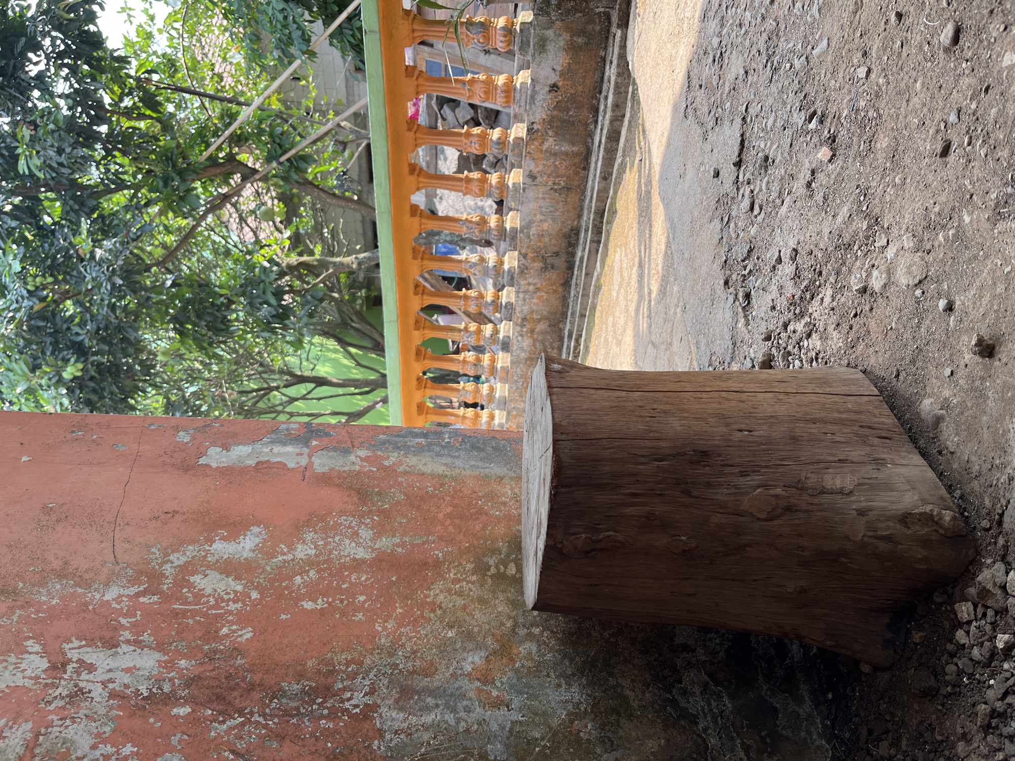 In Glagah Kulon, Indonesia, a weathered wooden tree stump stands on a gravelly ground in front of a textured, orange-hued wall that shows signs of peeling paint and aging. Behind the stump, an ornate railing with orange balusters stretches horizontally across the scene, separating a pathway from a lush, green background filled with trees, some bearing fruit. The sunlight casts shadows across the ground, suggesting it is daytime.