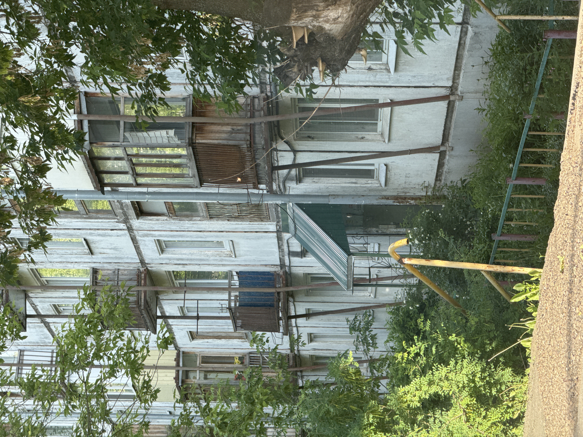 The image displays an old, multi-story residential building, likely an apartment block, set in an urban environment. The building's facade, possibly once white or light grey, appears weathered with peeling paint and visible signs of age. Numerous windows, some with older wooden frames, and several small, enclosed balconies or extensions are visible across its structure.
Dense green foliage from trees and bushes partially obscures the building, suggesting an overgrown or mature environment. A prominent feature on the upper left is a large tree trunk with several pale, shelf-like fungi or mushrooms growing from it. Smaller plants and overgrown bushes also line the base of the building and the area to its right.
In the mid-ground, a vertical metal pole runs upwards. Rusty metal supports and utility structures are visible across the building's exterior, hinting at maintenance or utility lines. A green corrugated awning extends from one of the upper balconies. To the right, a yellow, curved metal rail, possibly part of a fence or playground equipment, is visible amidst more greenery.
The scene is bathed in natural daylight, indicating it is daytime. There are no people or specific activities taking place, creating a quiet, static urban impression. The architecture and overgrown nature align with older residential areas, consistent with the location context of Izhevsk, Russia. No visible text is present.