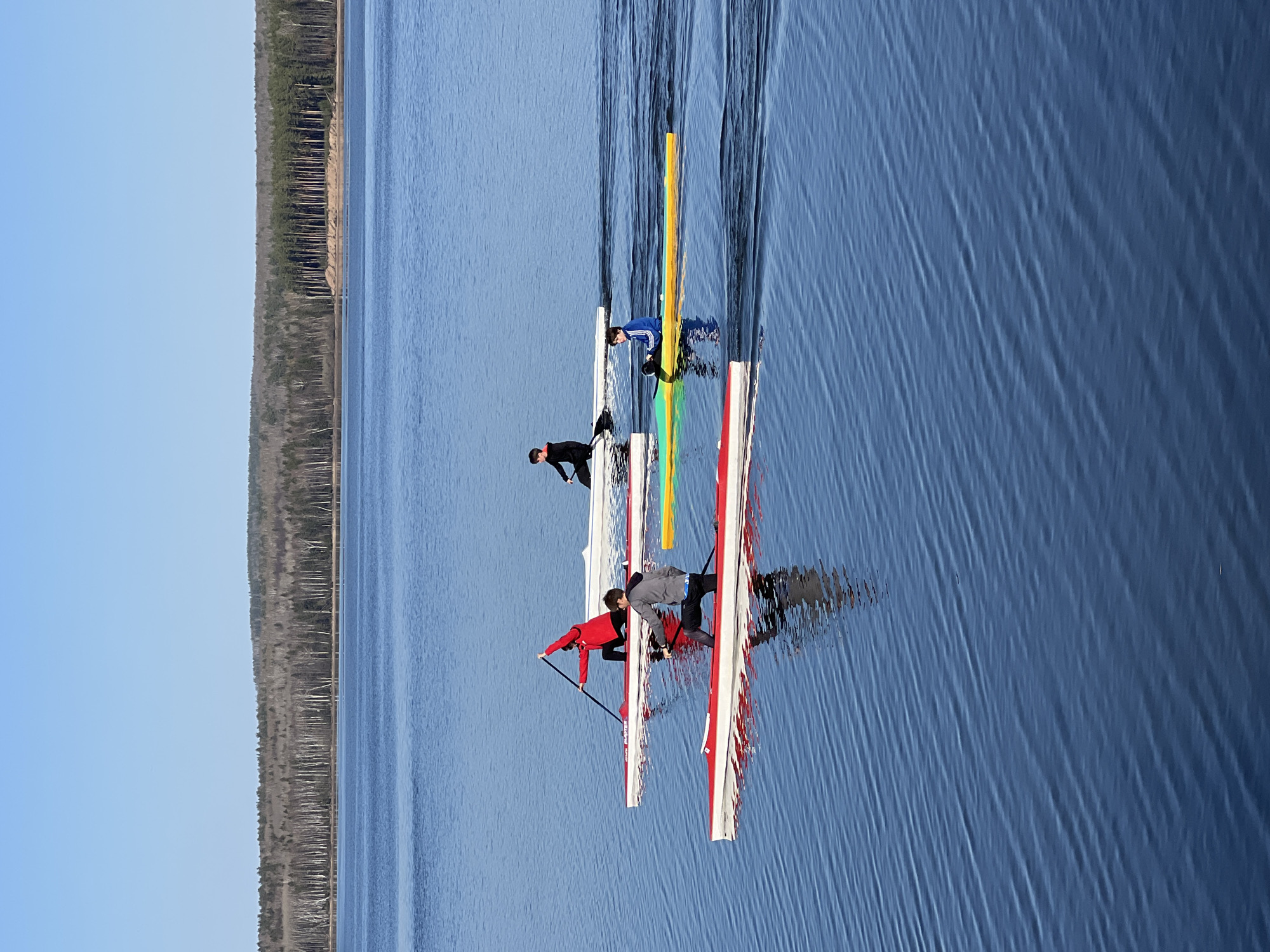 Three rowing sculls are visible on a body of water, likely a lake or wide river, near the city of Chaikovsky, Russia, suggested by the presence of similar landscapes near Chaikovsky. The sculls are occupied by rowers dressed in athletic attire: the foremost rower wears a red top, the second is in grey, and the third in black and blue. The sculls are decorated in distinctive color schemes, with the closest scull painted red and white, the second white and yellow, and the third blue and white. A heavily forested shoreline is visible on the left of the image. The sky is clear and blue.